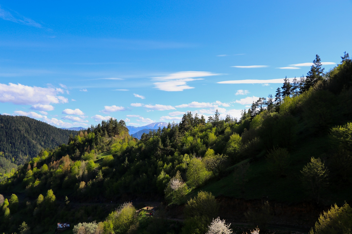 Gümüşhaneli dağcılardan bulutların üzerinde yürüyüş 28