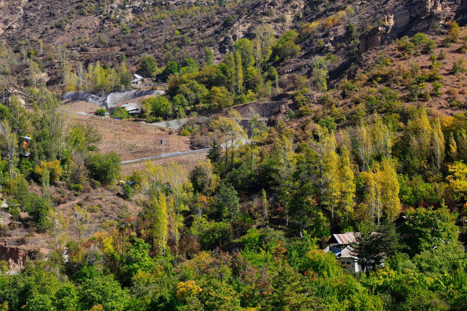 Gümüş şehir altın rengine büründü 6