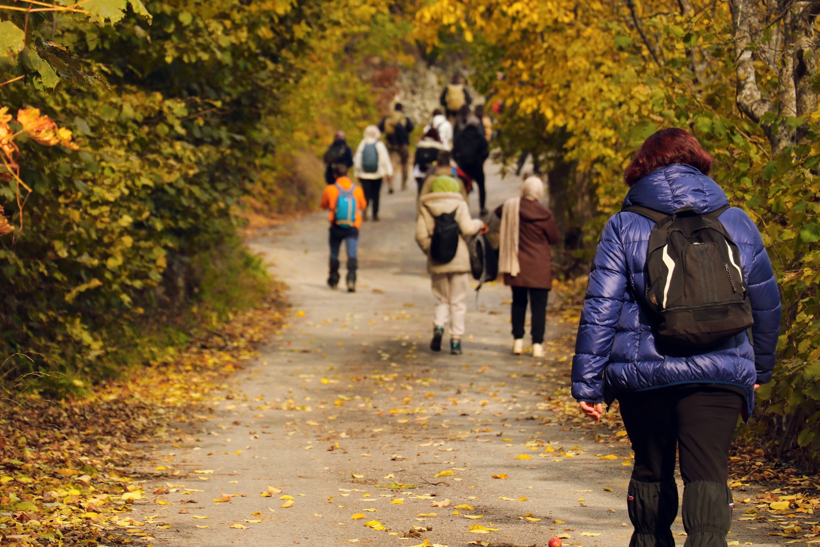 Gümüşhane'de sonbahar tüm ihtişamıyla devam ediyor 9