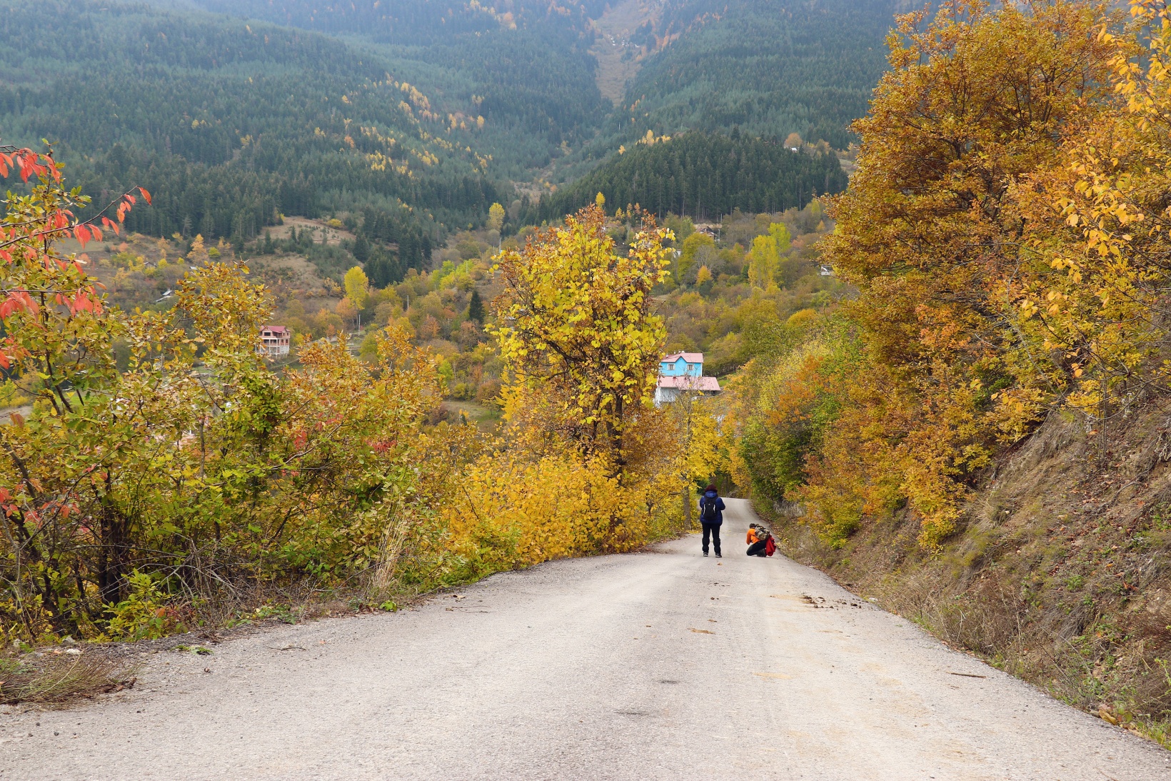 Gümüşhane'de sonbahar tüm ihtişamıyla devam ediyor 16