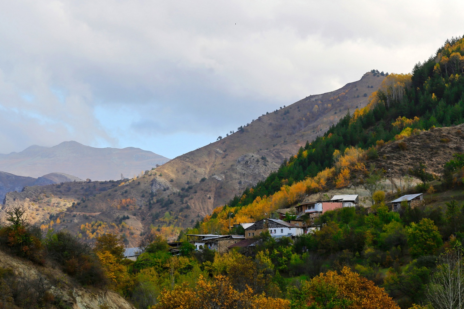 Gümüş şehir altın rengine büründü 1