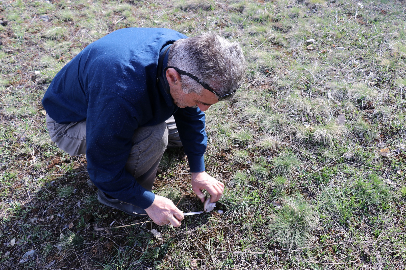 Gümüşhane’de mantar sezonu başladı... Zehirli mantara dikkat 11