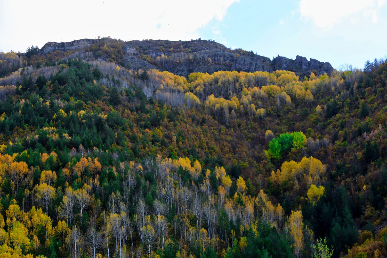 Gümüş şehir altın rengine büründü 7