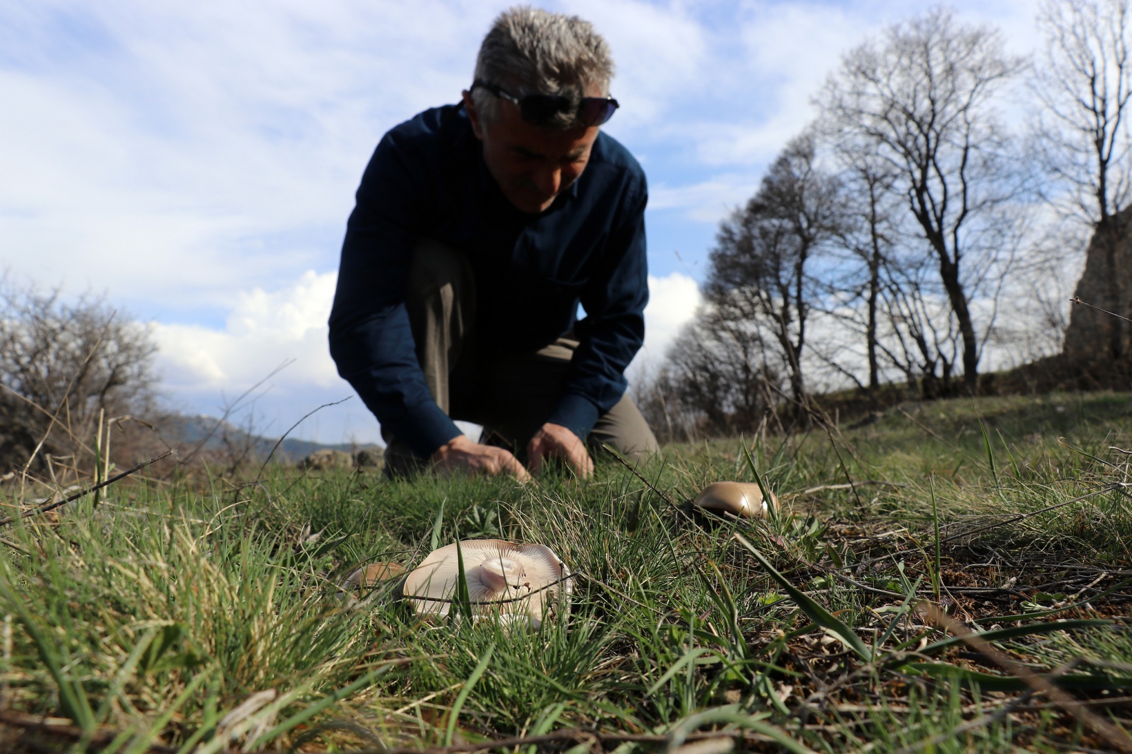 Gümüşhane’de mantar sezonu başladı... Zehirli mantara dikkat 9