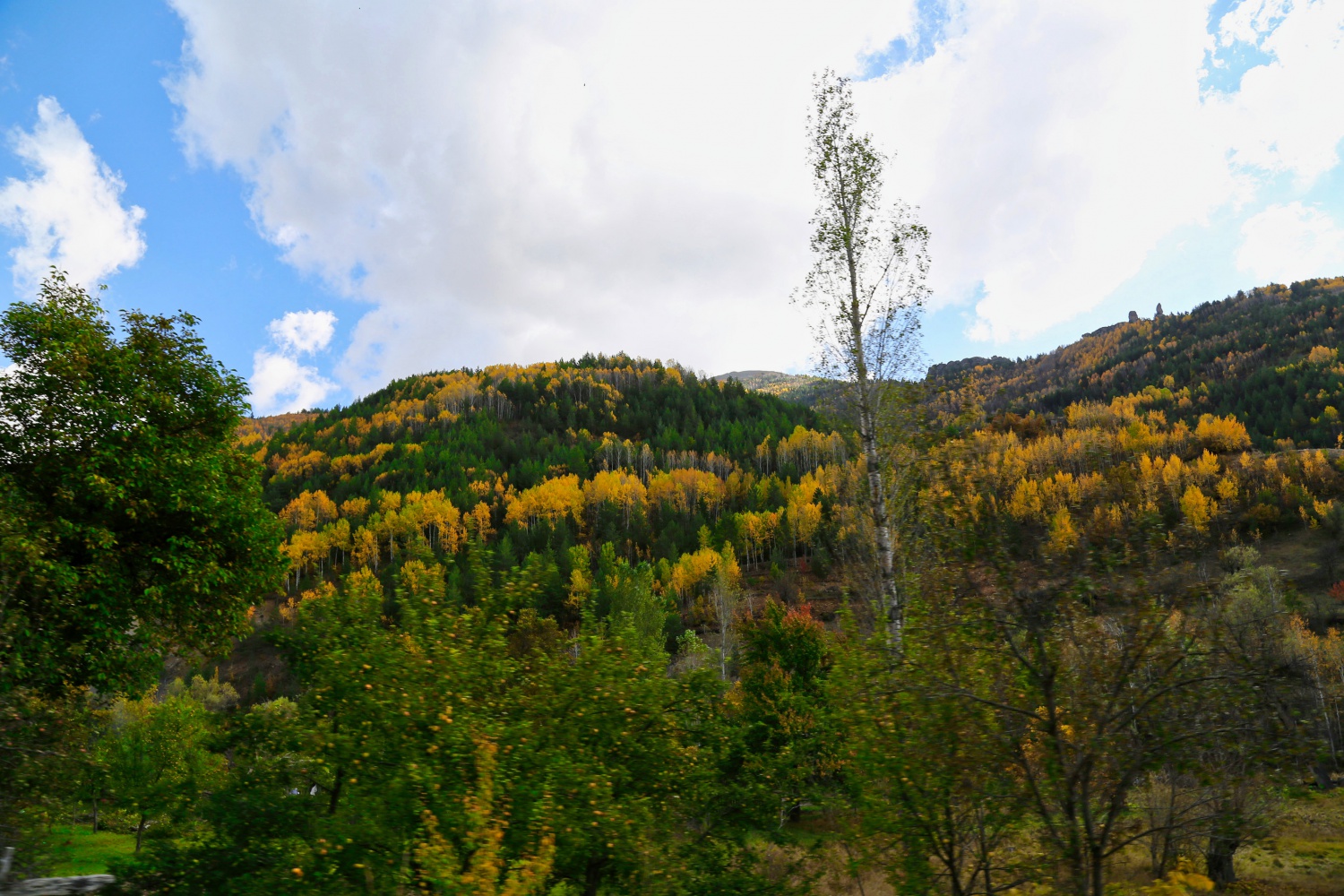Gümüş şehir altın rengine büründü 8