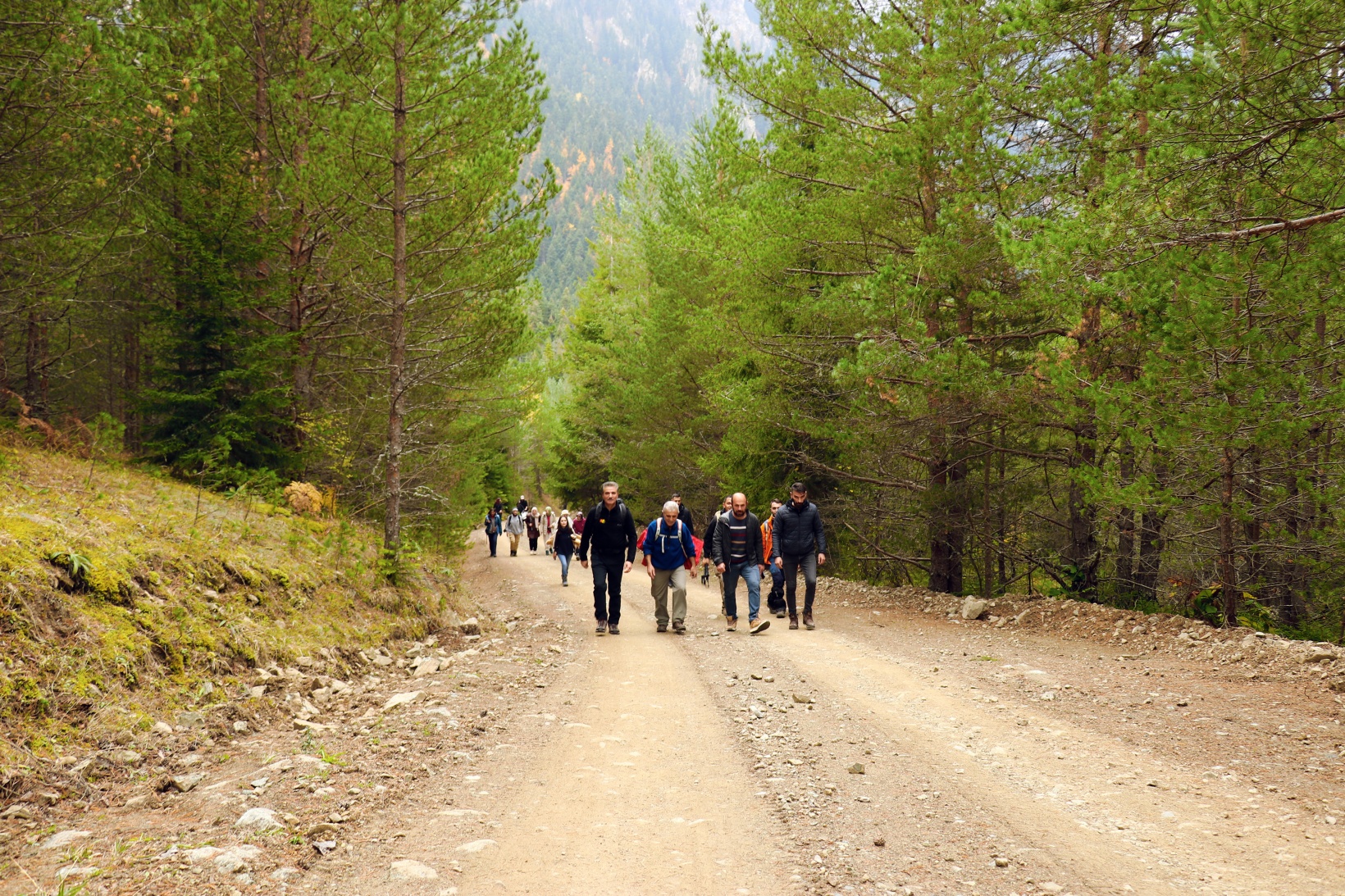 Gümüşhane'de sonbahar tüm ihtişamıyla devam ediyor 22