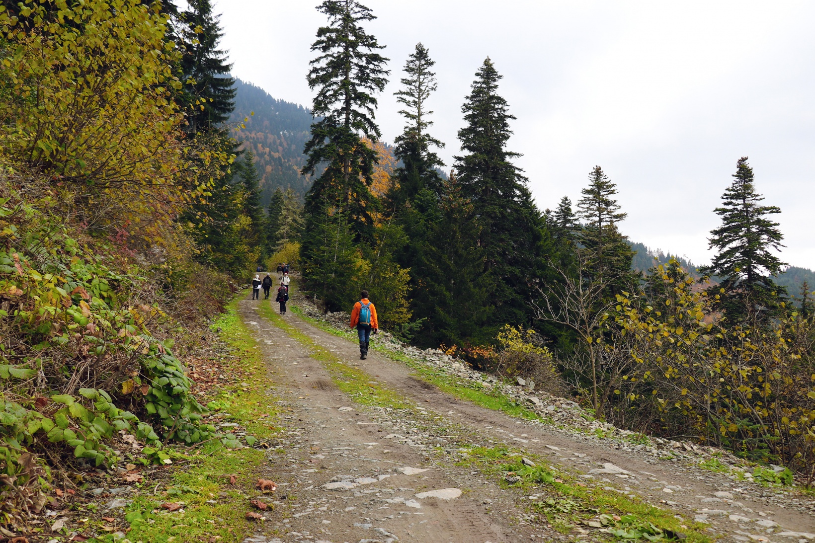Gümüşhane'de sonbahar tüm ihtişamıyla devam ediyor 17