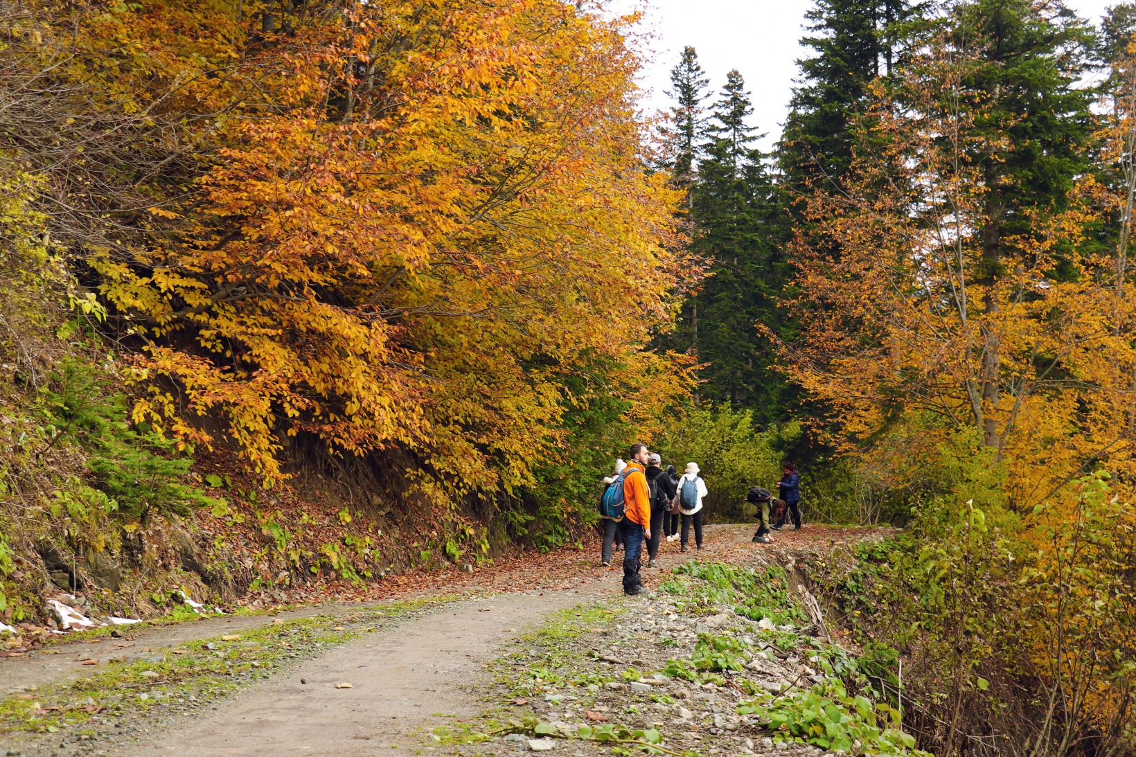Gümüşhane'de sonbahar tüm ihtişamıyla devam ediyor 14