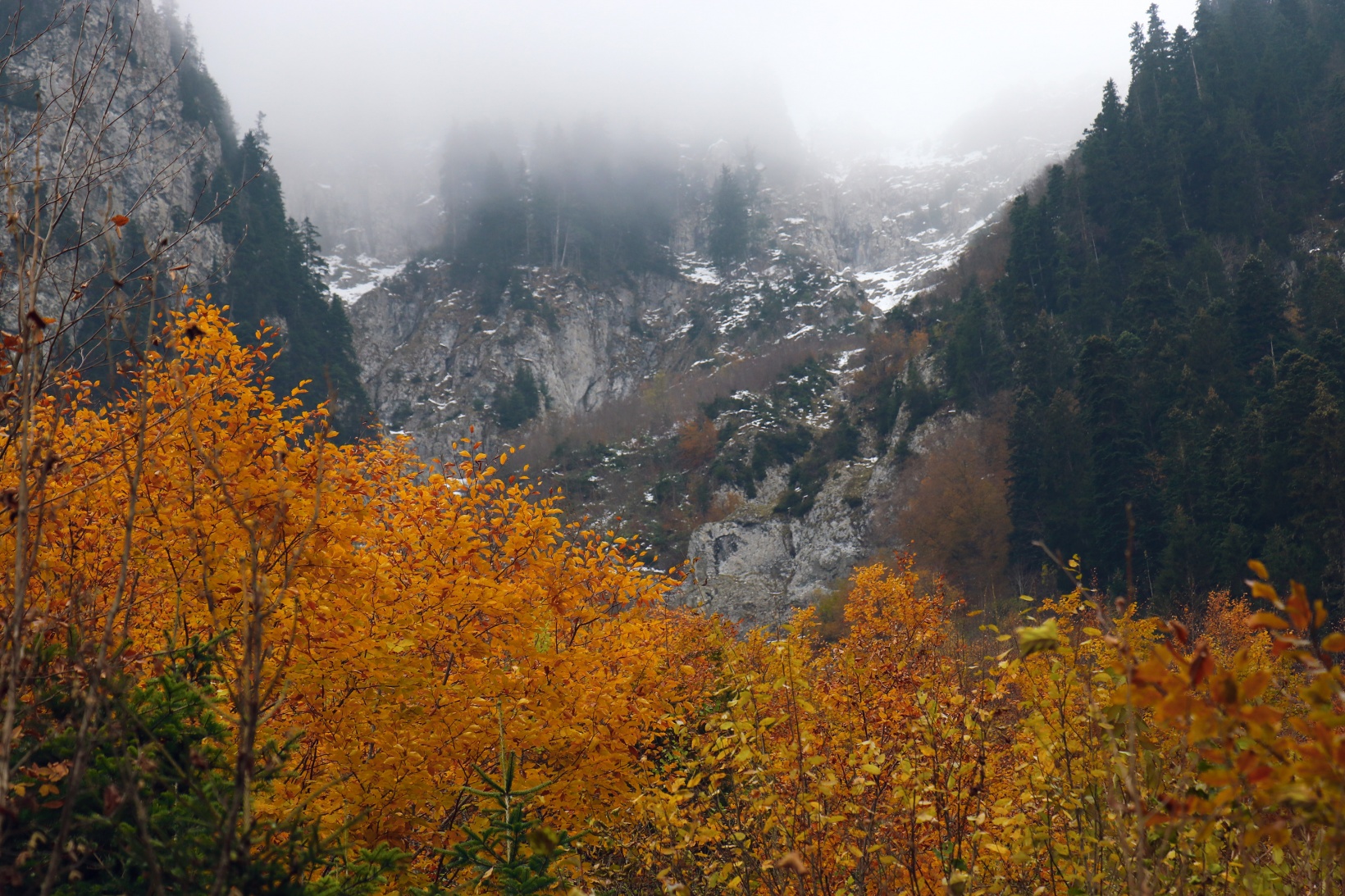 Gümüşhane'de sonbahar tüm ihtişamıyla devam ediyor 8