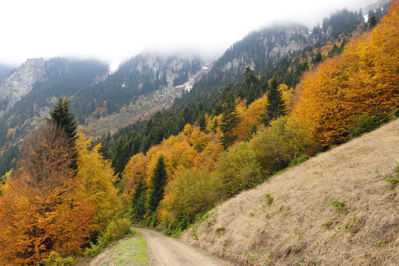 Gümüşhane'de sonbahar tüm ihtişamıyla devam ediyor 15