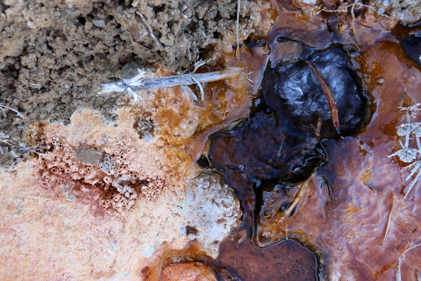 Gümüşhane’nin Pamukkale’si olacak 13