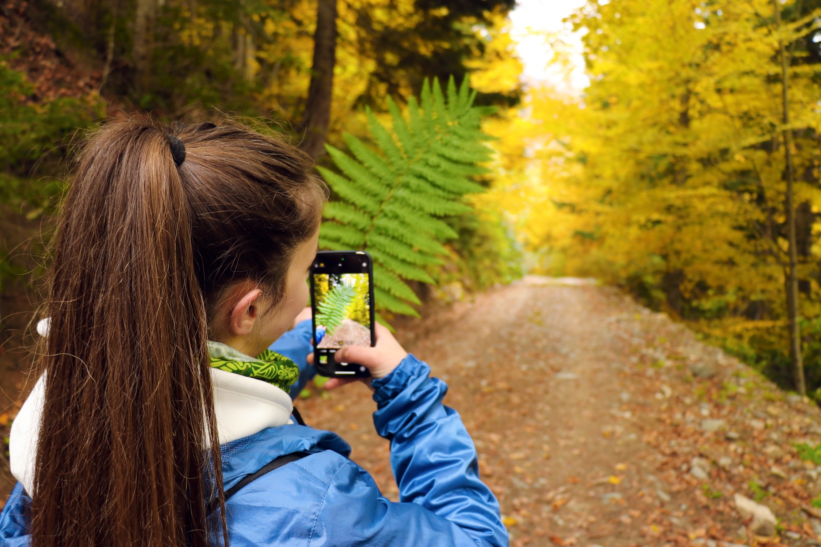 Gümüşhane'de sonbahar tüm ihtişamıyla devam ediyor 5