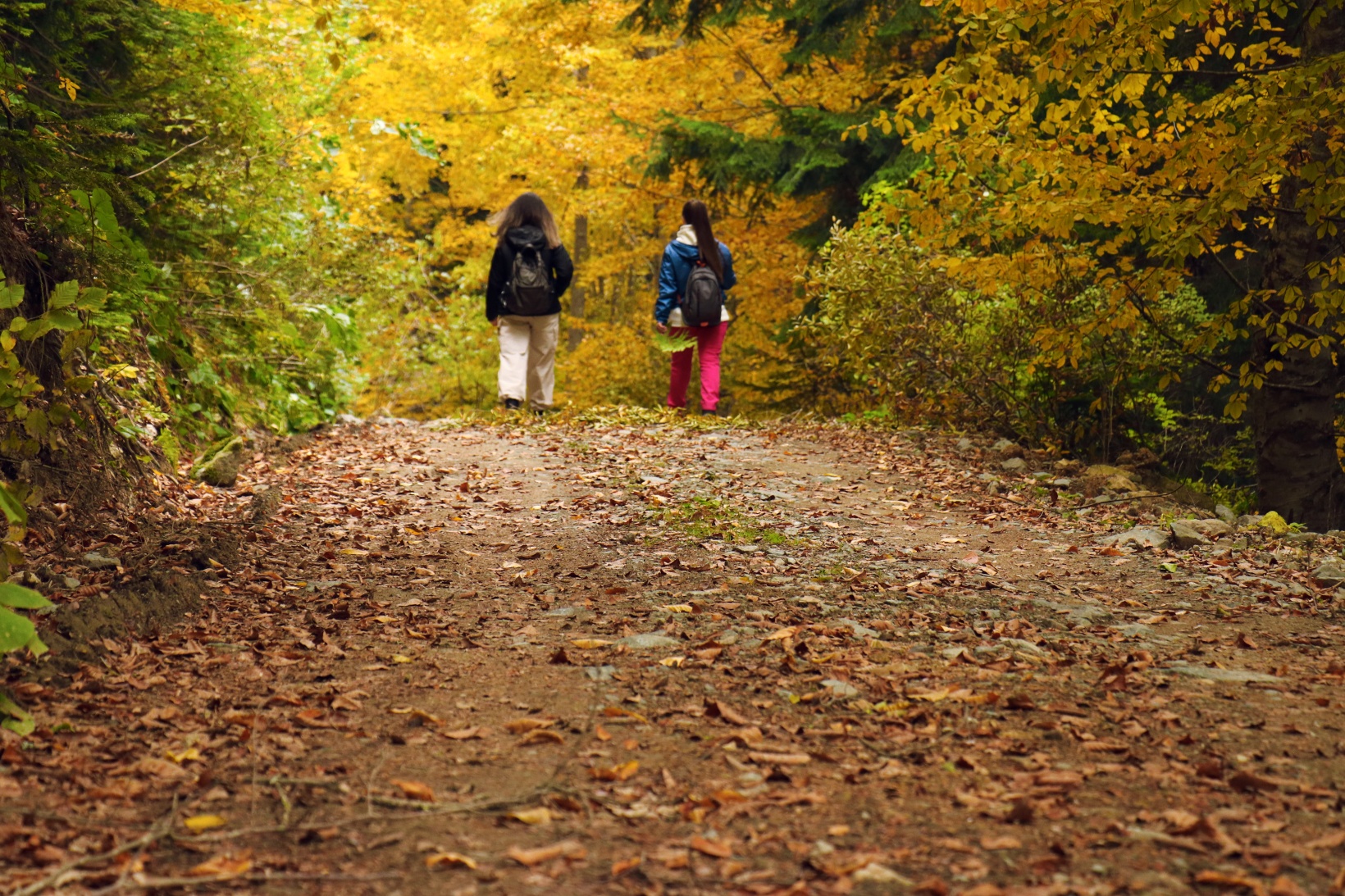 Gümüşhane'de sonbahar tüm ihtişamıyla devam ediyor 23