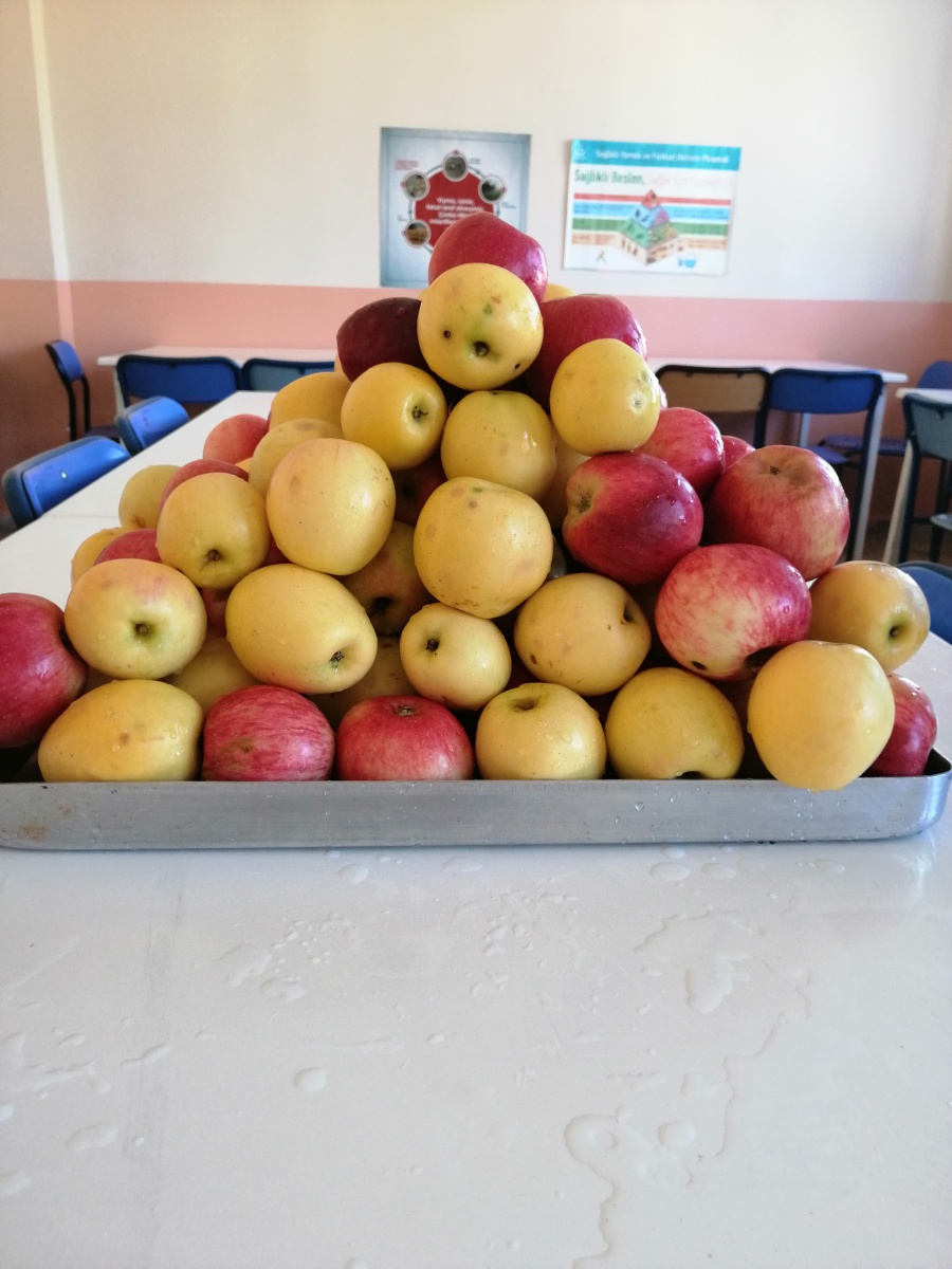 Bu okulda sağlık için günde bir elma yeniliyor 2
