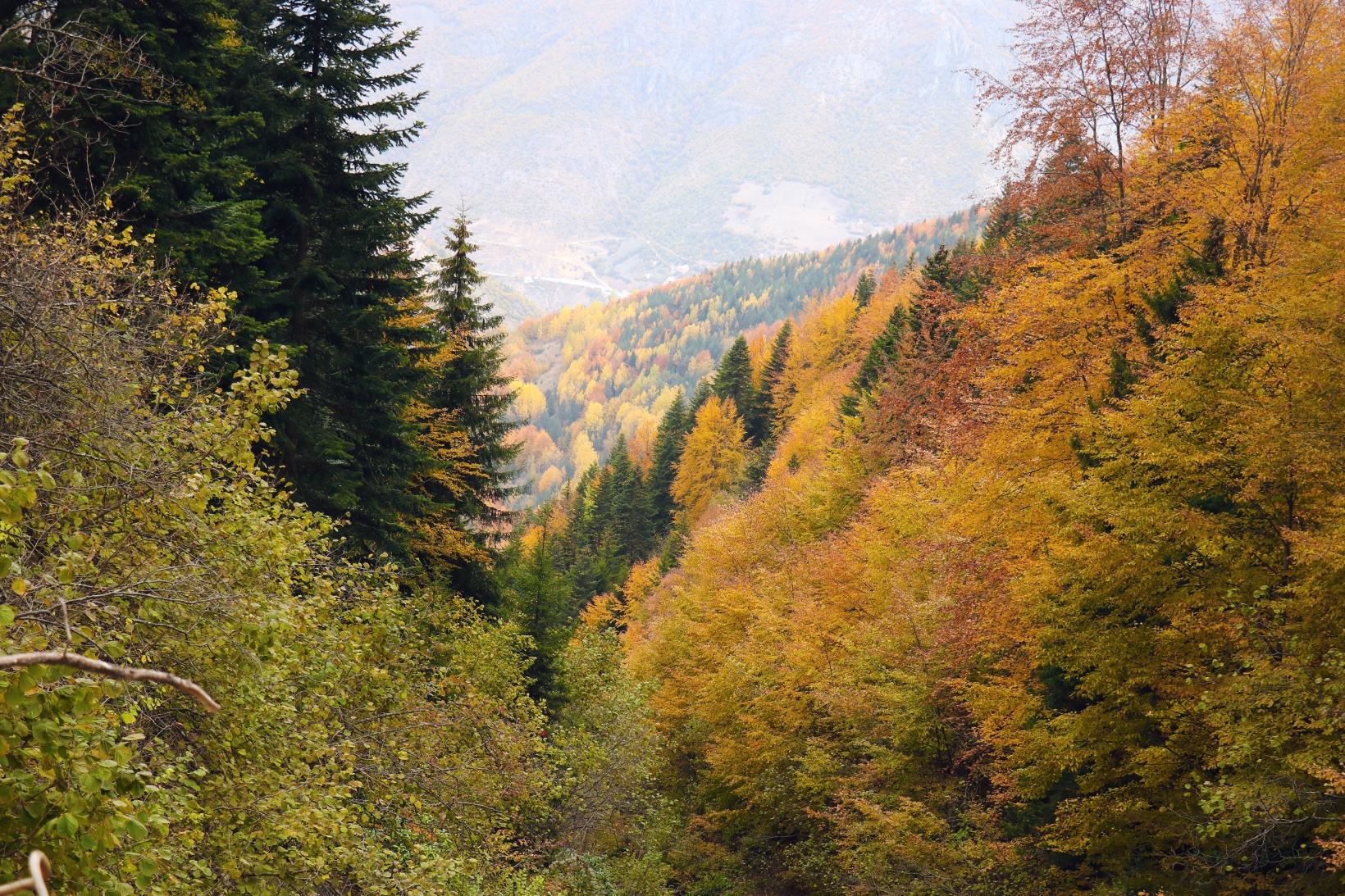 Gümüşhane'de sonbahar tüm ihtişamıyla devam ediyor 20