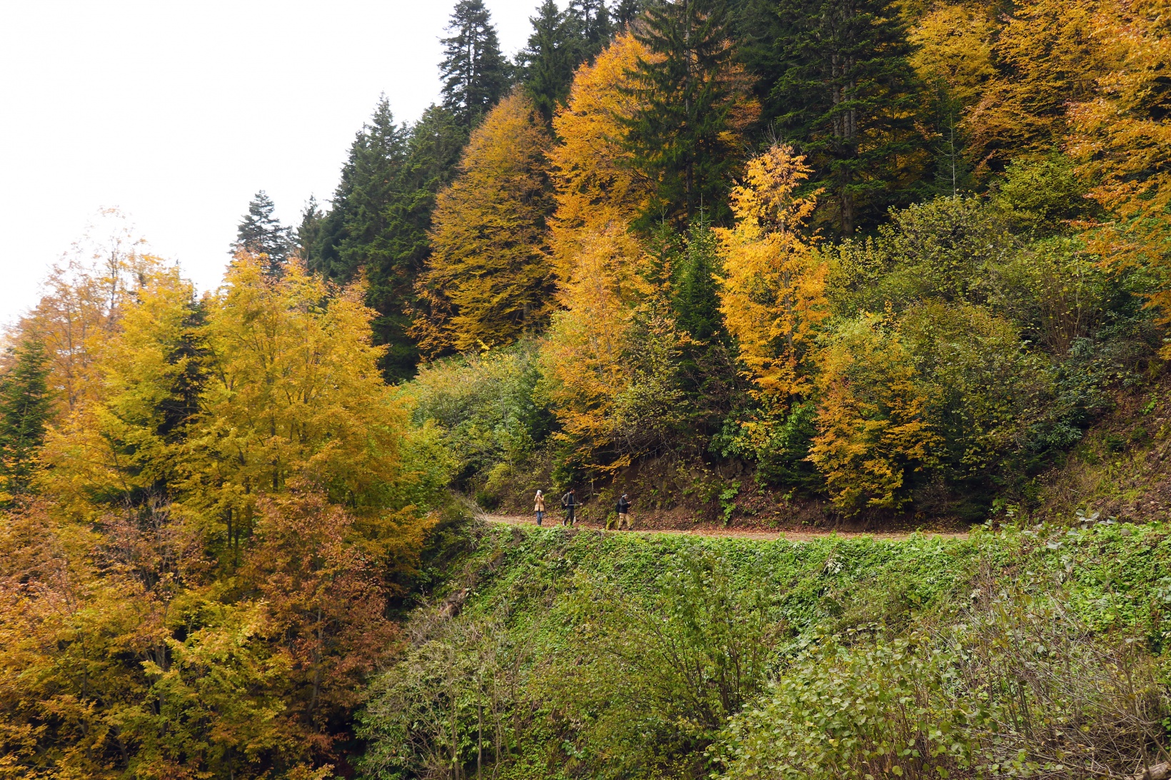 Gümüşhane'de sonbahar tüm ihtişamıyla devam ediyor 13