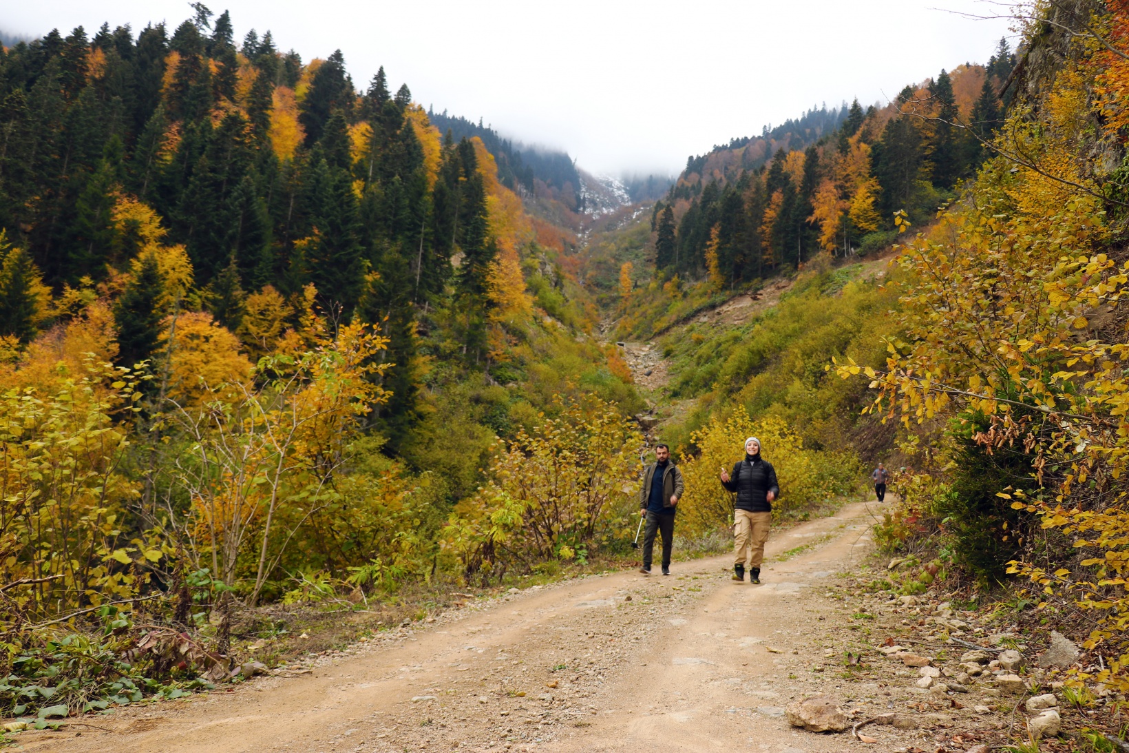 Gümüşhane'de sonbahar tüm ihtişamıyla devam ediyor 12