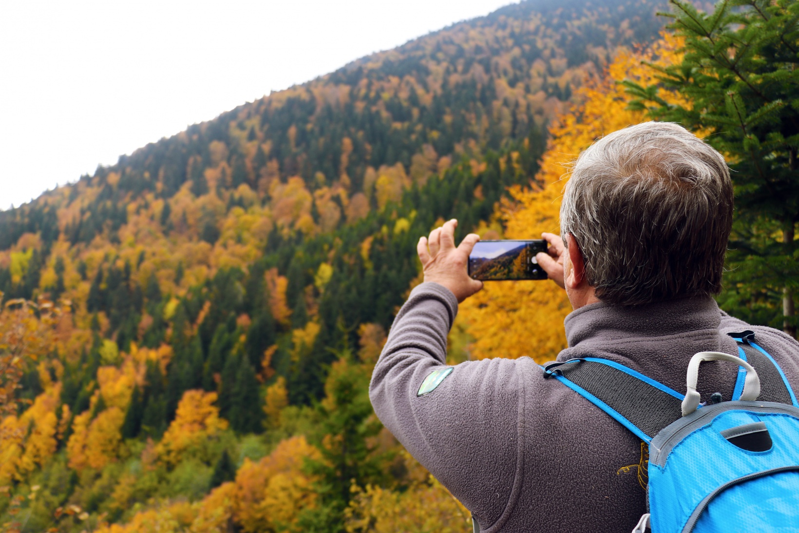 Gümüşhane'de sonbahar tüm ihtişamıyla devam ediyor 4