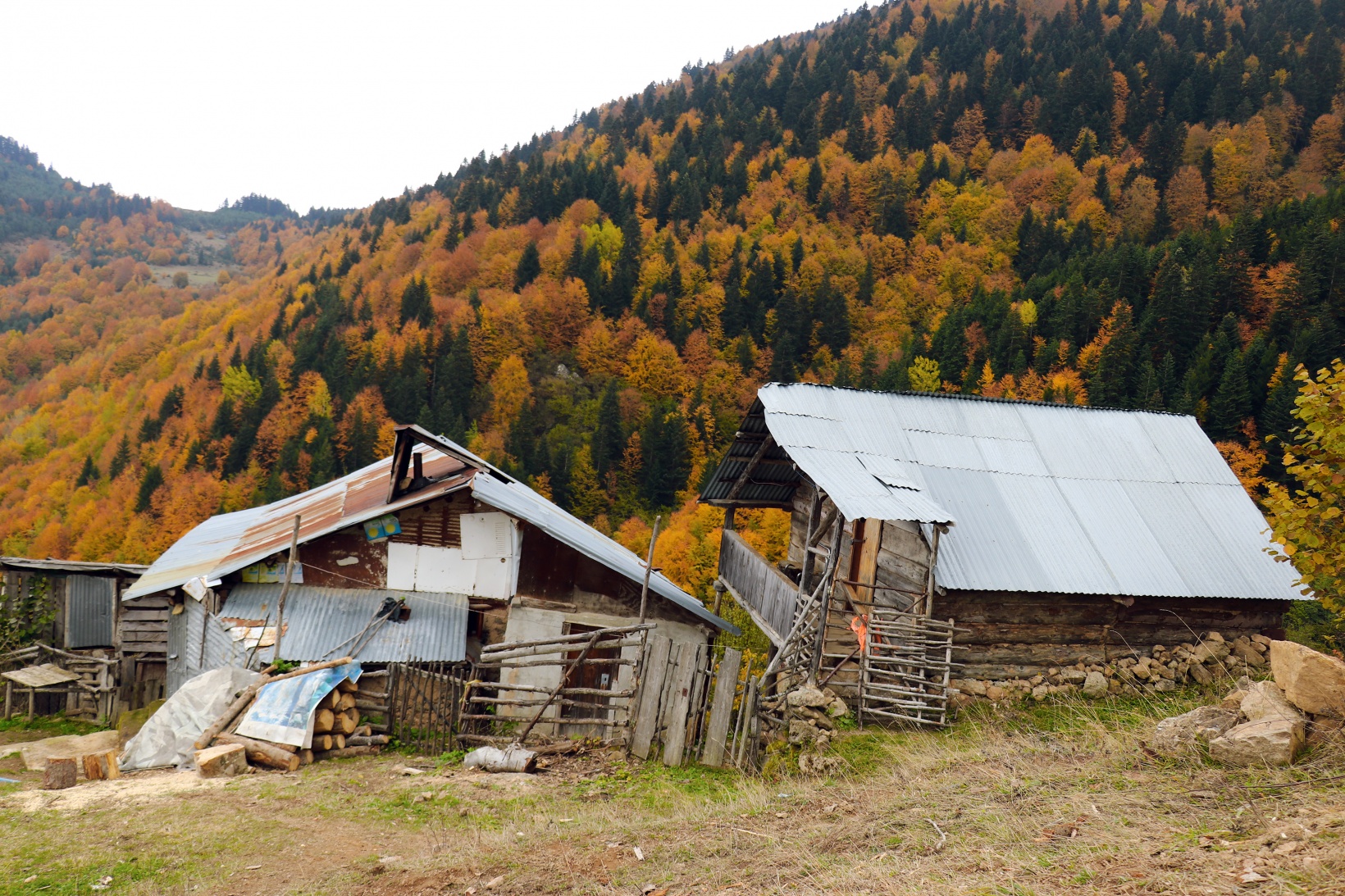 Gümüşhane'de sonbahar tüm ihtişamıyla devam ediyor 25