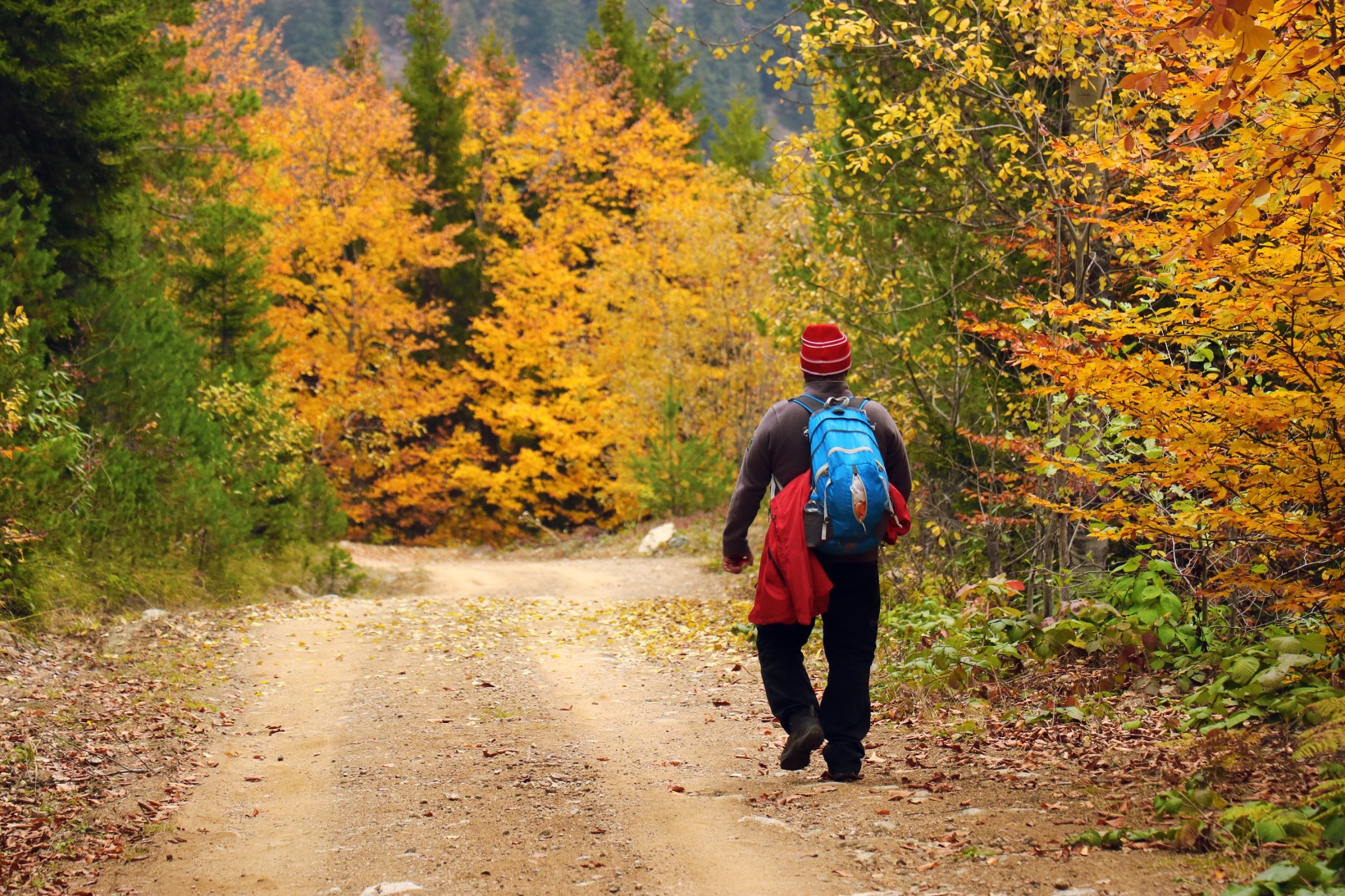 Gümüşhane'de sonbahar tüm ihtişamıyla devam ediyor 24