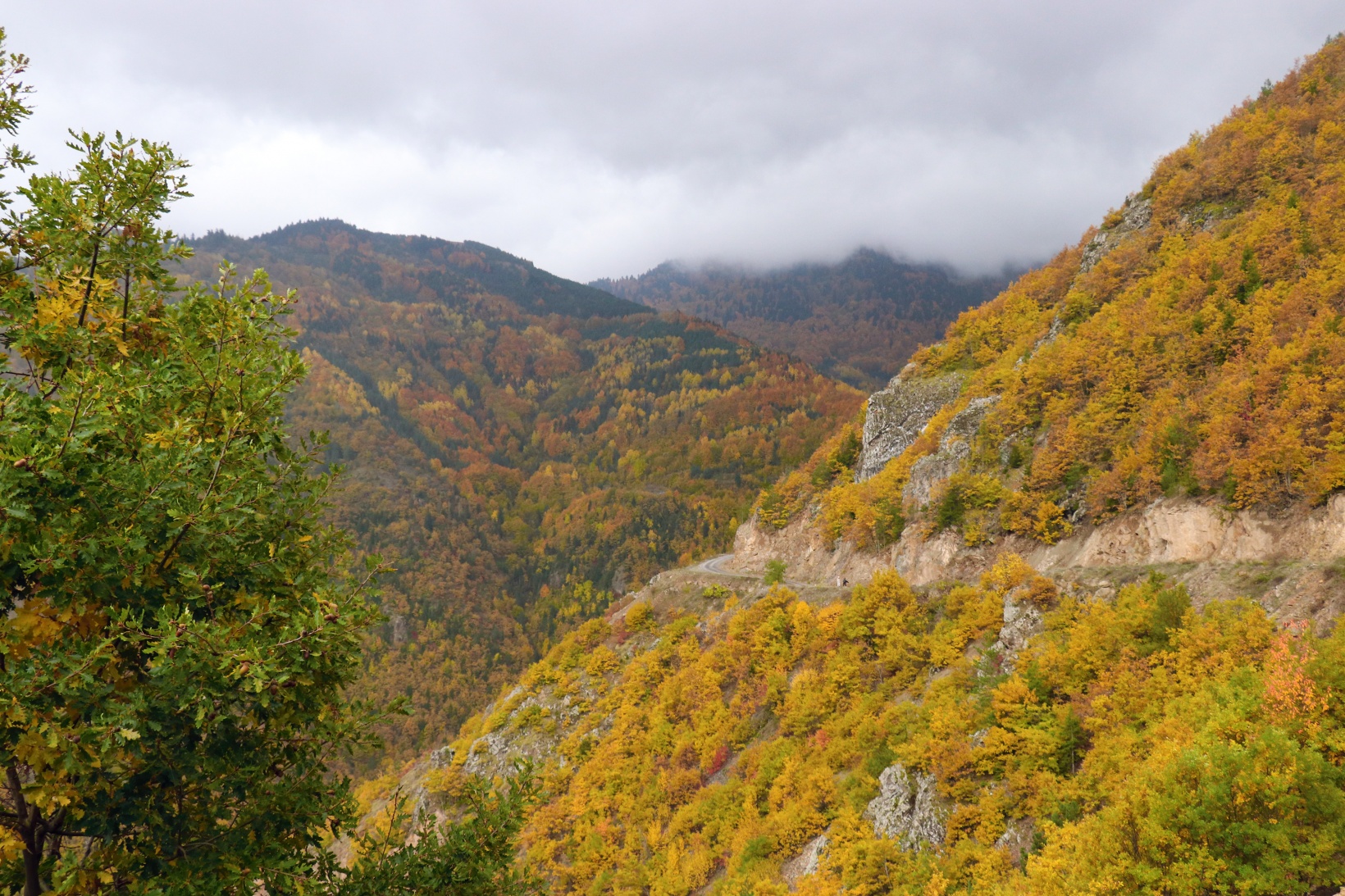 Gümüşhane'de sonbahar tüm ihtişamıyla devam ediyor 19
