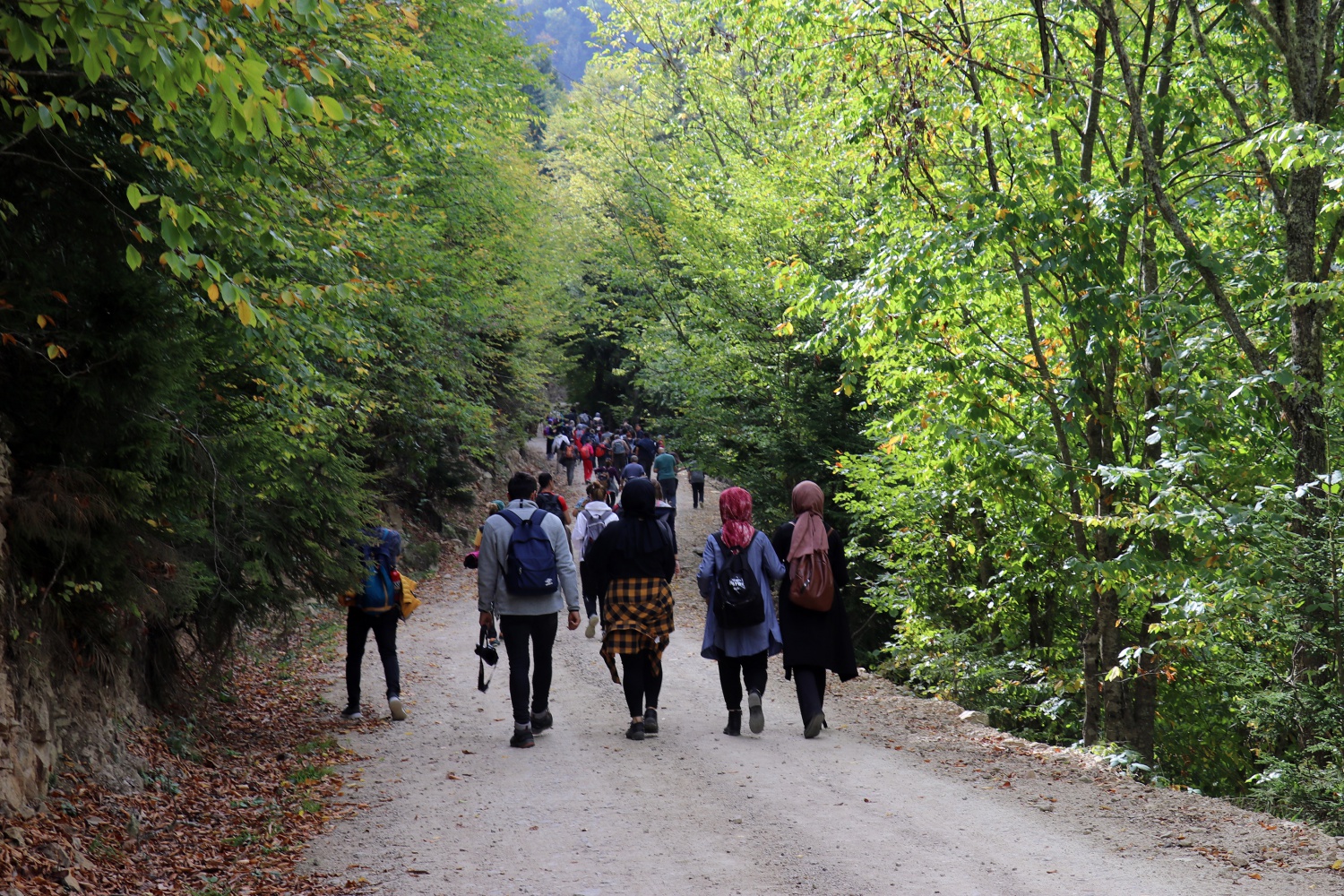 Gümüş şehir ‘Altın’ rengine büründü, dağcılar fırsatı kaçırmadı 2