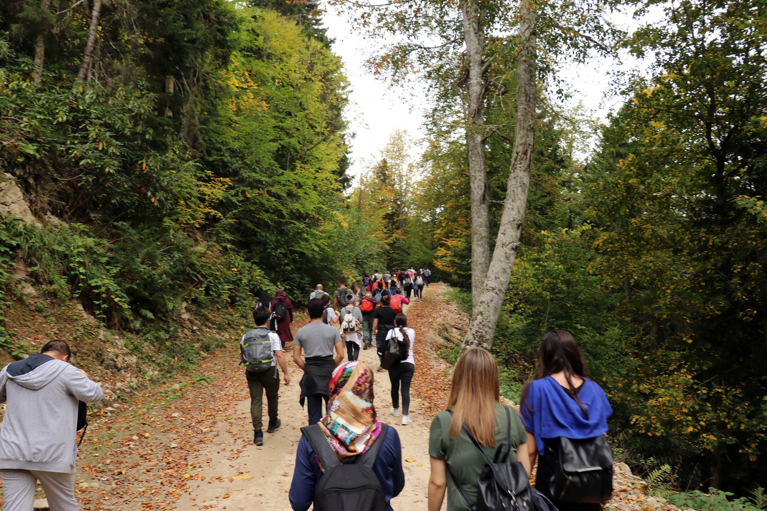 Gümüş şehir ‘Altın’ rengine büründü, dağcılar fırsatı kaçırmadı 25
