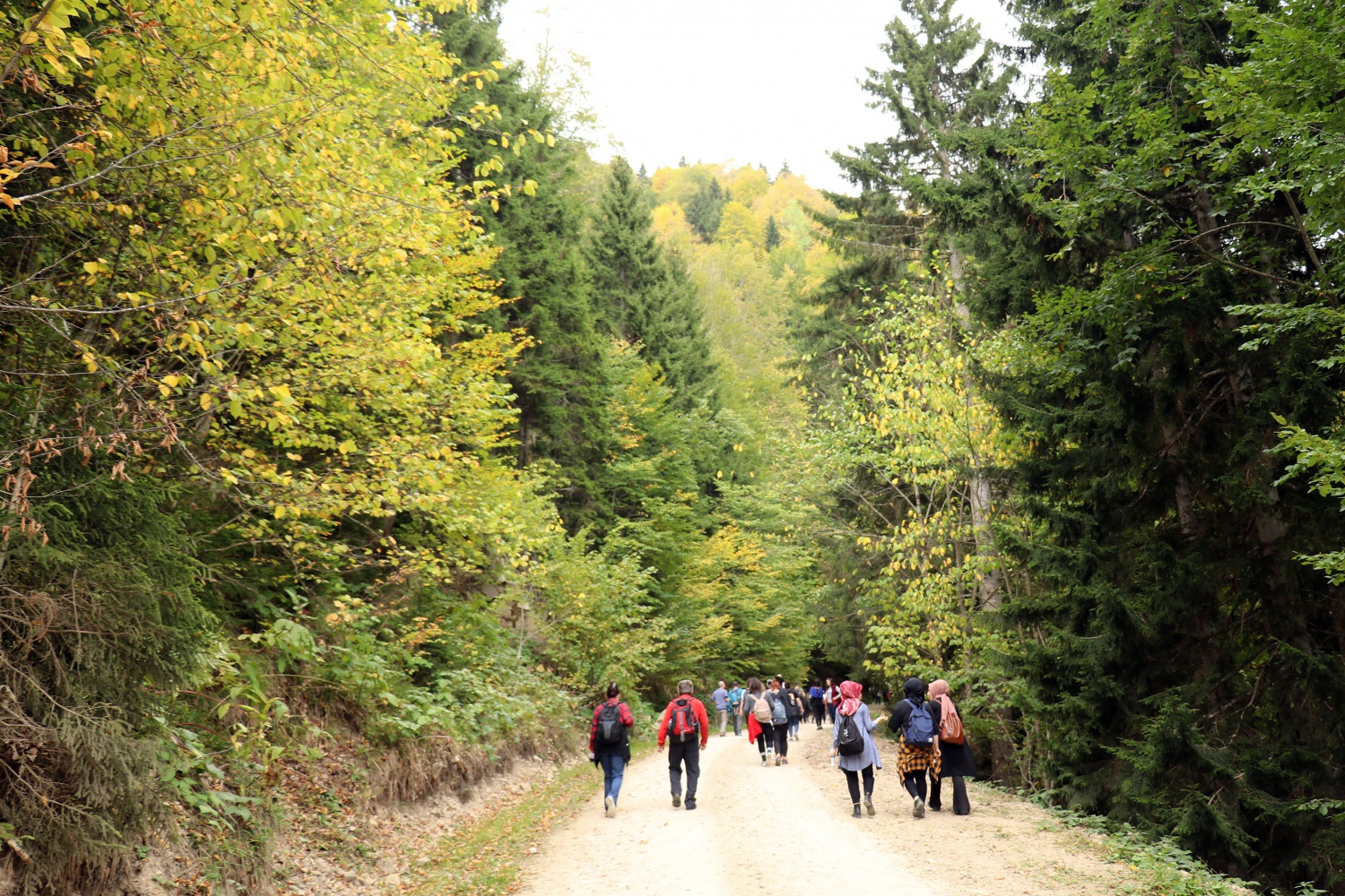 Gümüş şehir ‘Altın’ rengine büründü, dağcılar fırsatı kaçırmadı 40