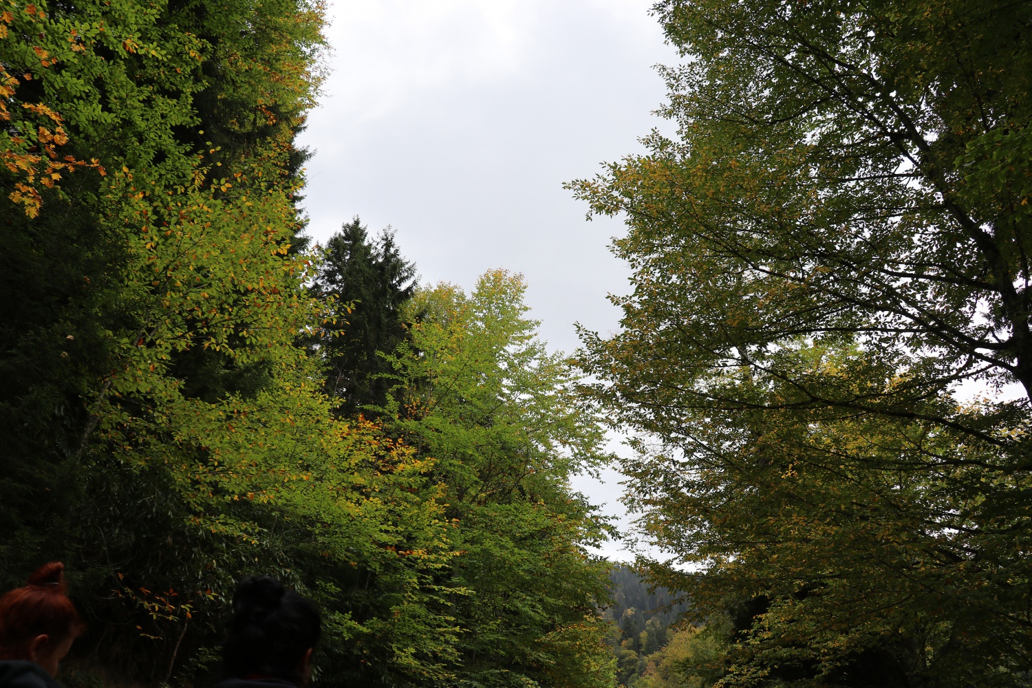 Gümüş şehir ‘Altın’ rengine büründü, dağcılar fırsatı kaçırmadı 45
