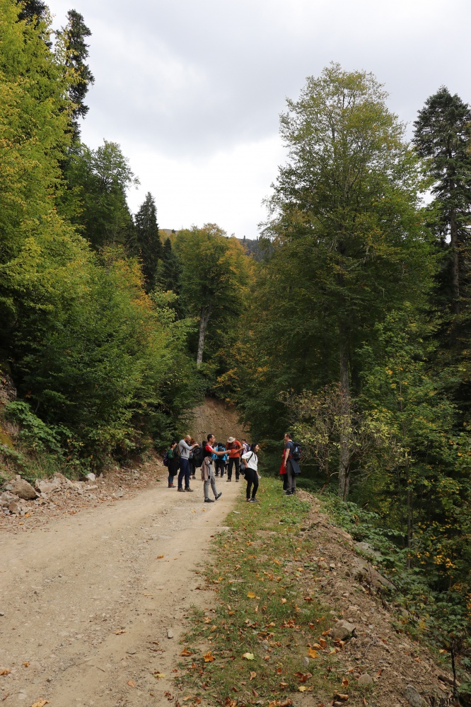 Gümüş şehir ‘Altın’ rengine büründü, dağcılar fırsatı kaçırmadı 43