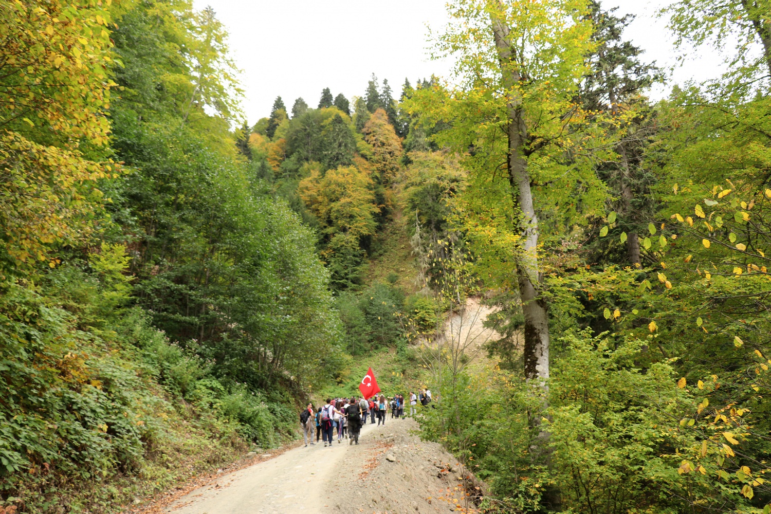Gümüş şehir ‘Altın’ rengine büründü, dağcılar fırsatı kaçırmadı 29