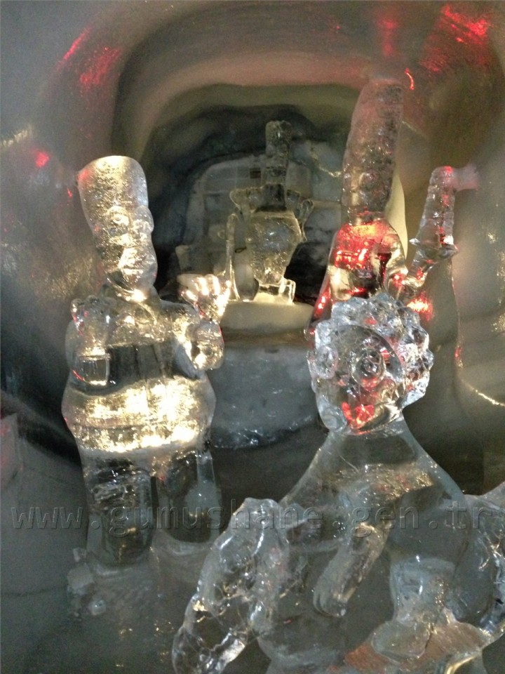 Vali Mayda Avusturya Temaslarını Değerlendirdi 13