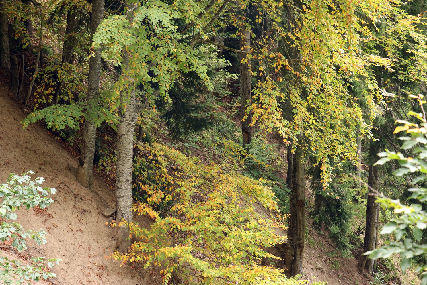 Gümüş şehir ‘Altın’ rengine büründü, dağcılar fırsatı kaçırmadı 48