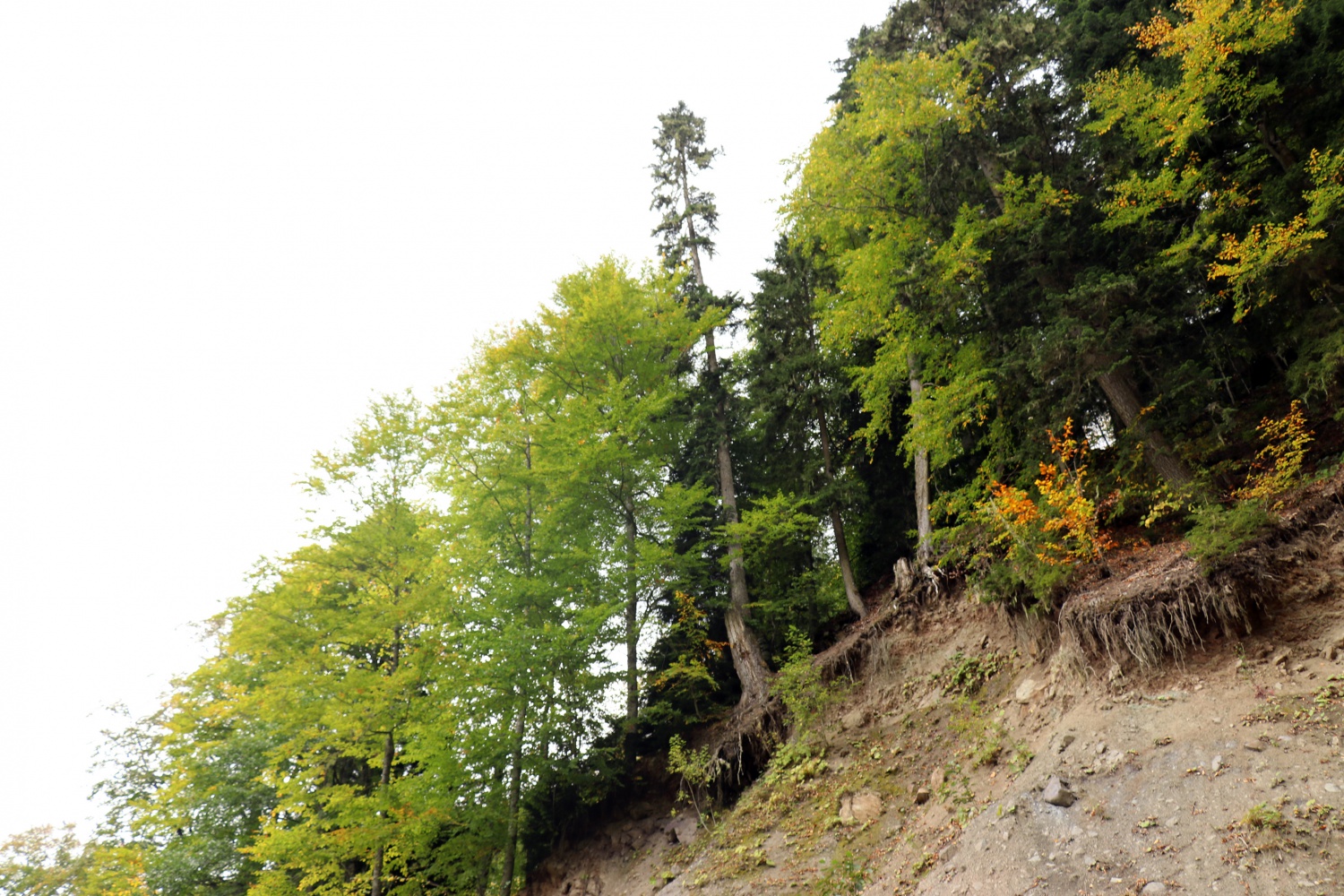 Gümüş şehir ‘Altın’ rengine büründü, dağcılar fırsatı kaçırmadı 21