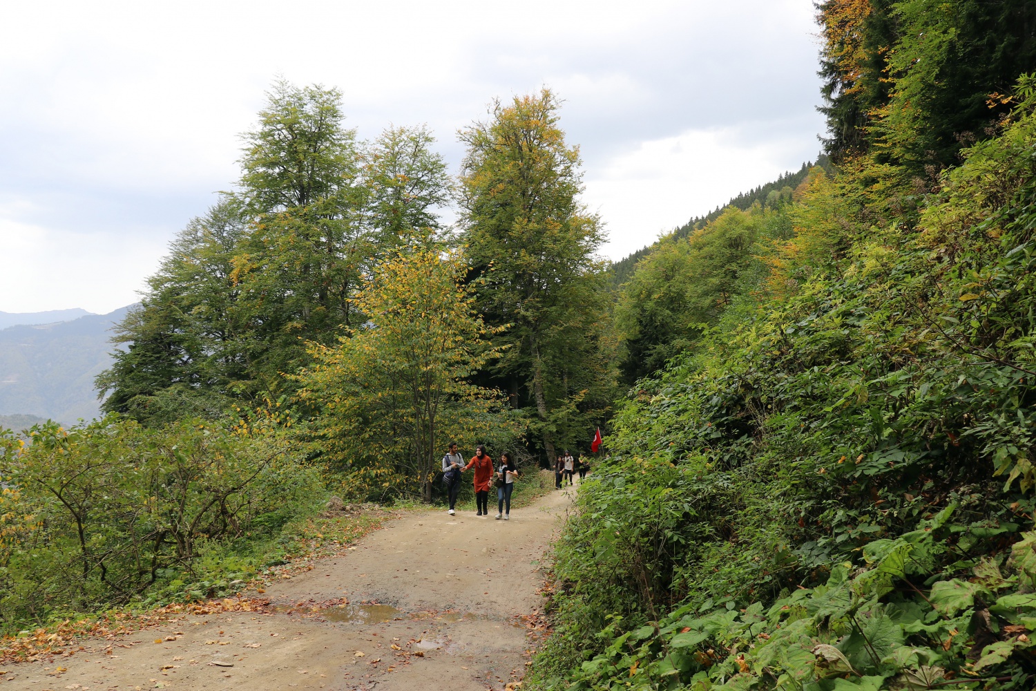 Gümüş şehir ‘Altın’ rengine büründü, dağcılar fırsatı kaçırmadı 44