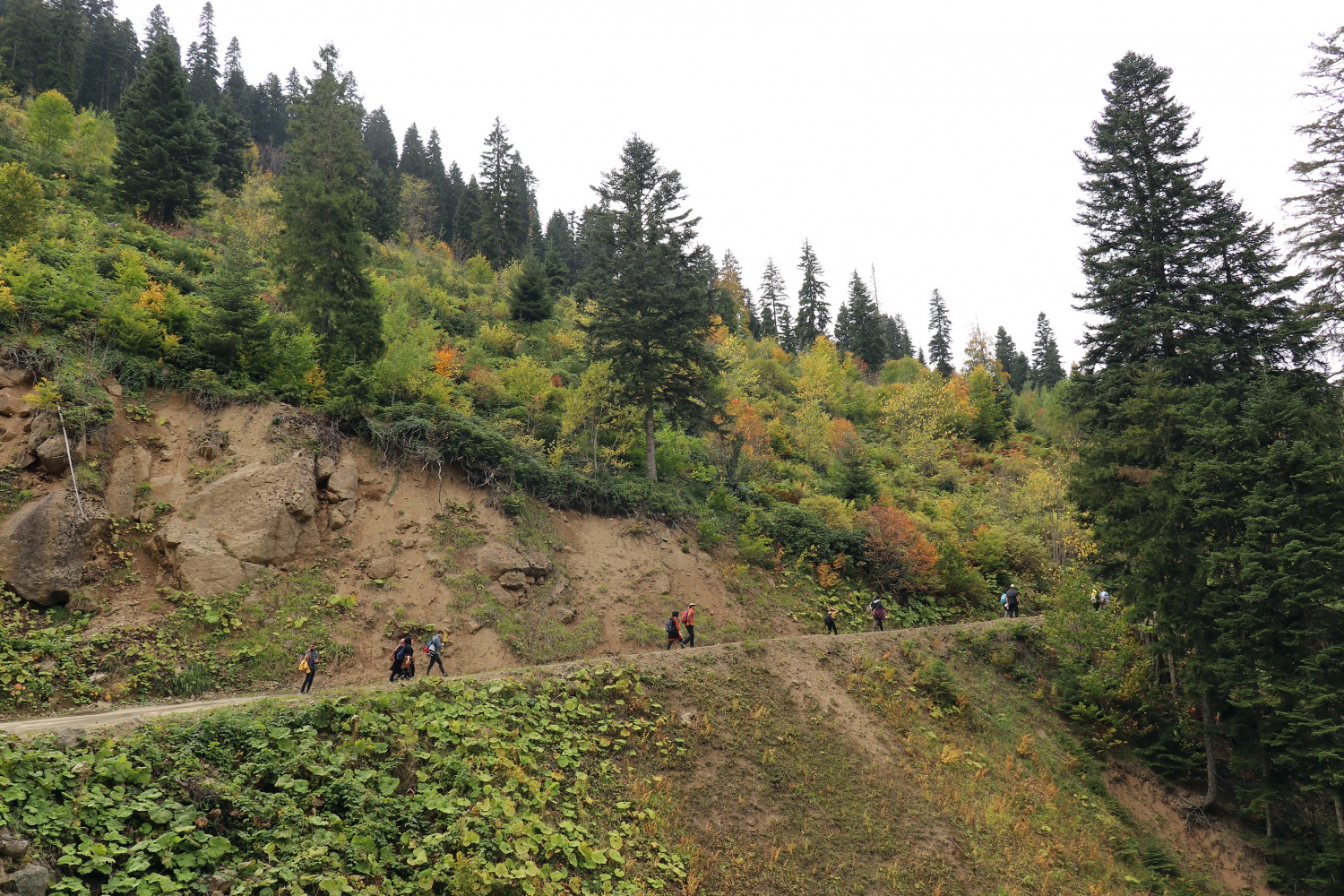 Gümüş şehir ‘Altın’ rengine büründü, dağcılar fırsatı kaçırmadı 3