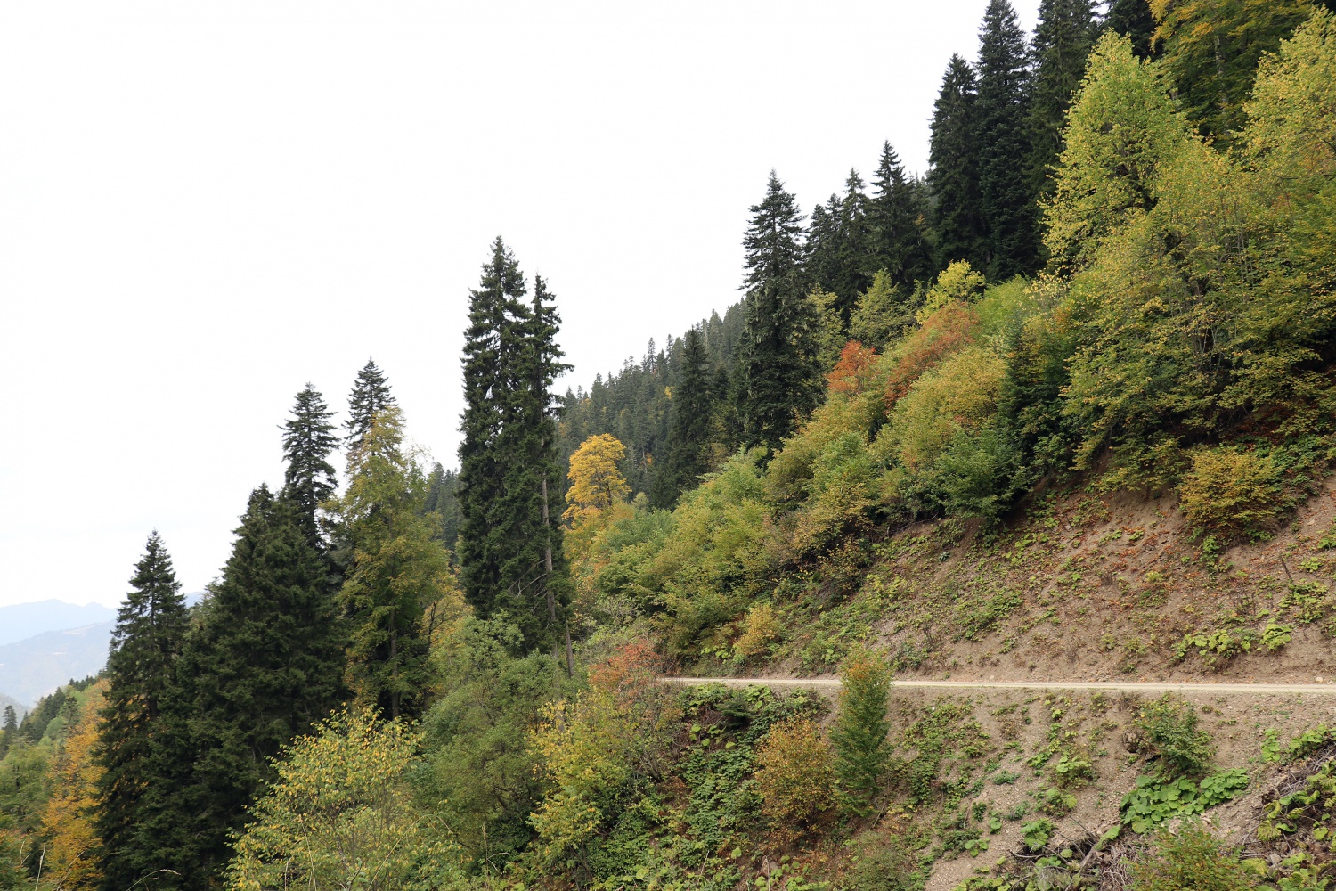 Gümüş şehir ‘Altın’ rengine büründü, dağcılar fırsatı kaçırmadı 10
