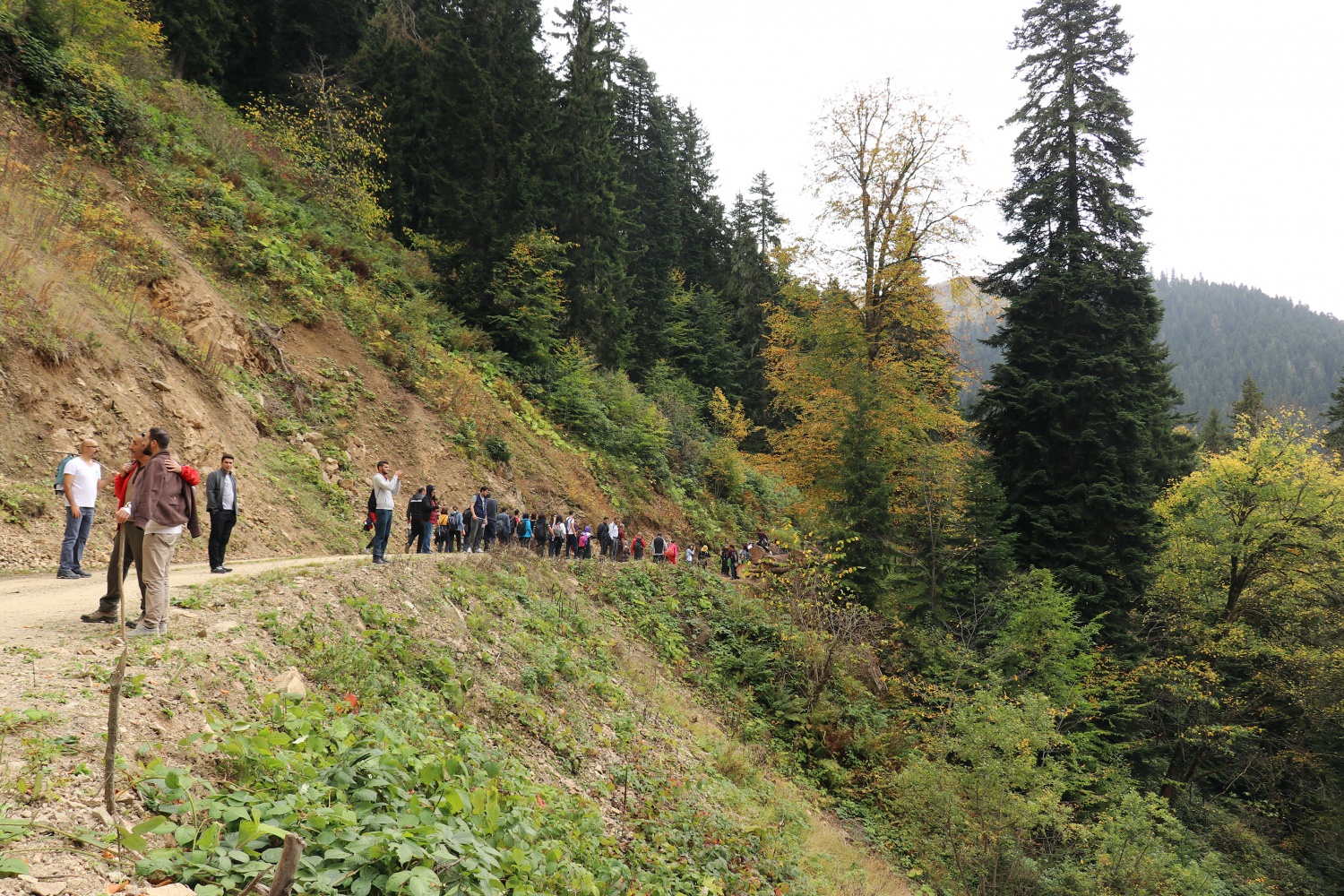 Gümüş şehir ‘Altın’ rengine büründü, dağcılar fırsatı kaçırmadı 47