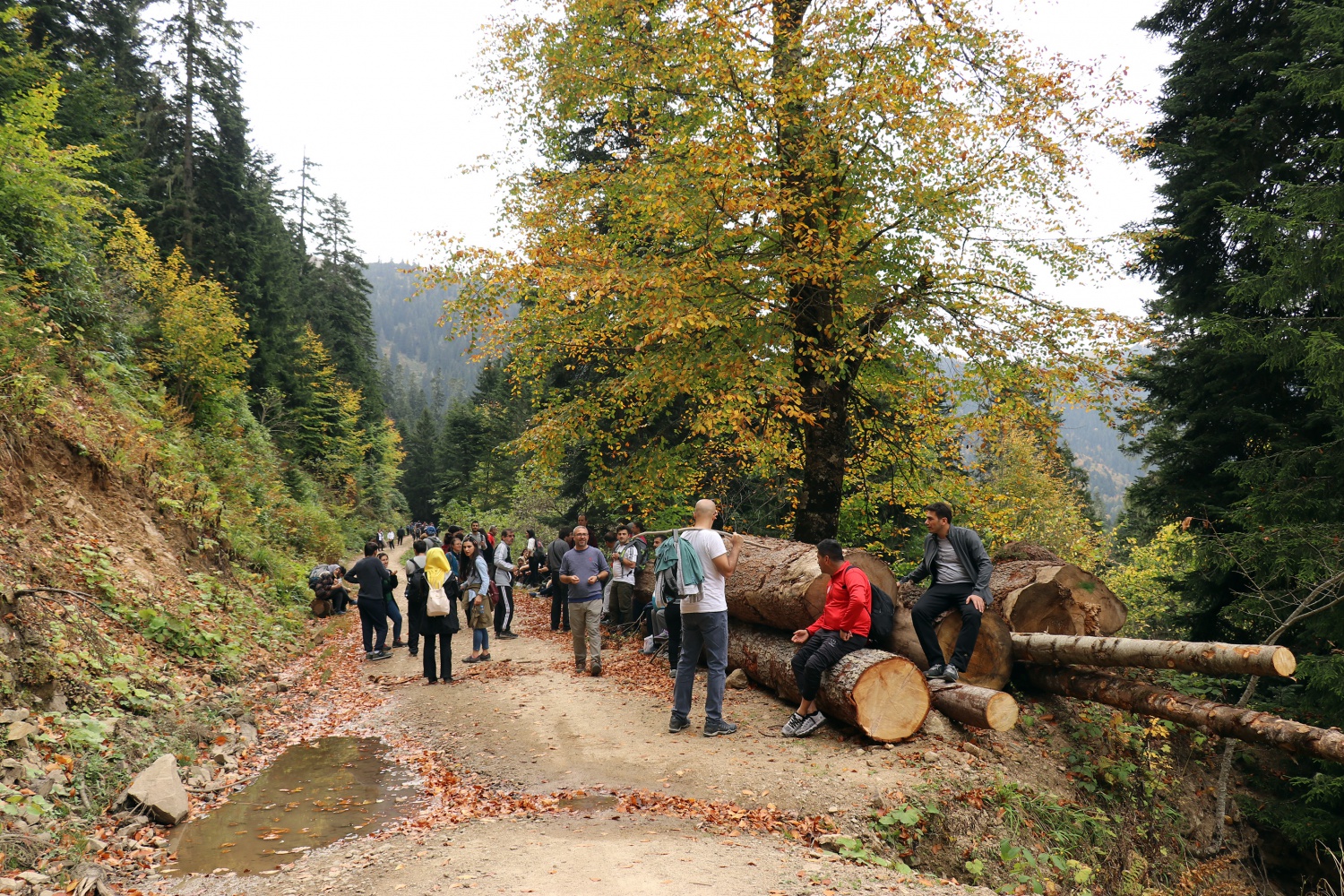 Gümüş şehir ‘Altın’ rengine büründü, dağcılar fırsatı kaçırmadı 38