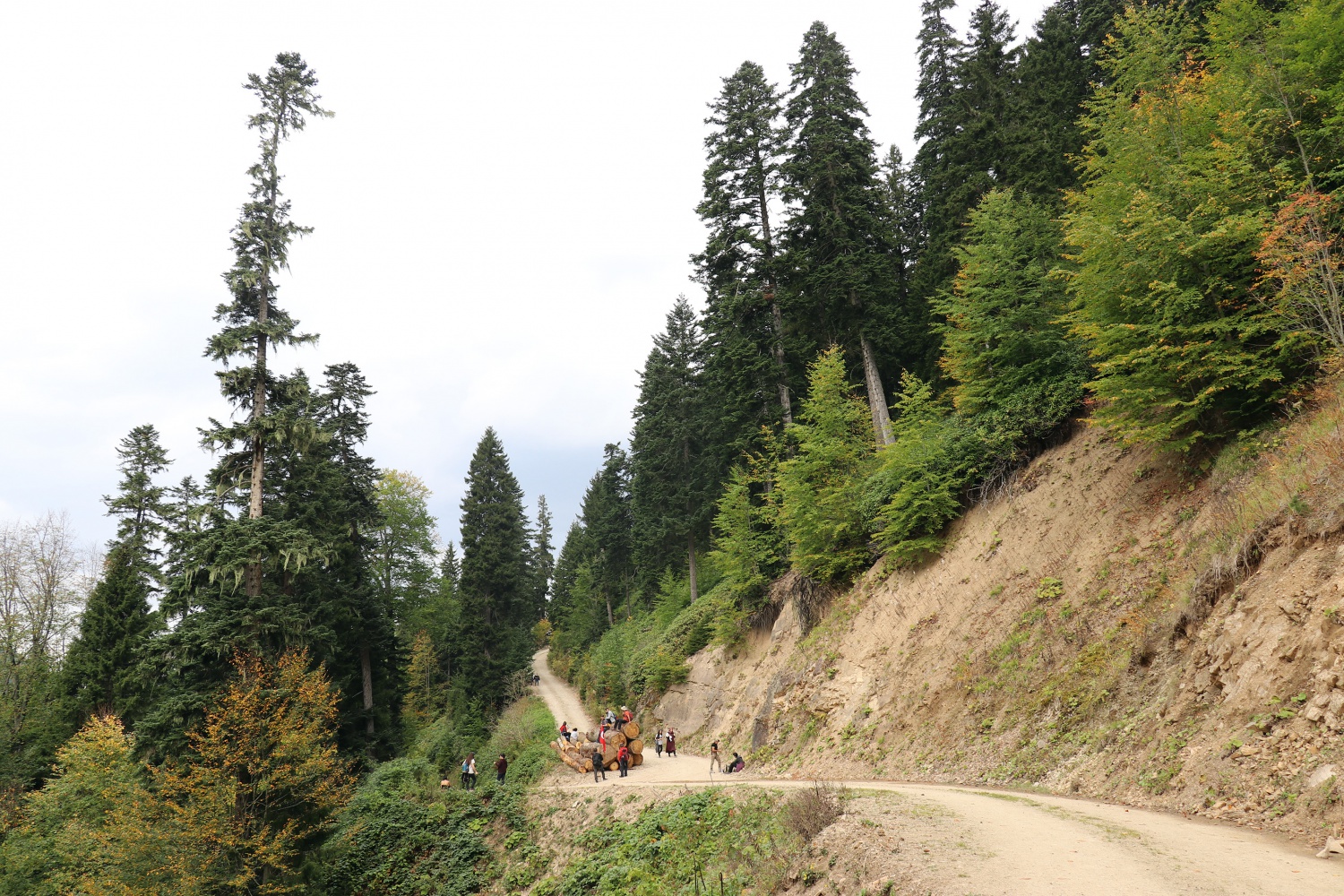 Gümüş şehir ‘Altın’ rengine büründü, dağcılar fırsatı kaçırmadı 41
