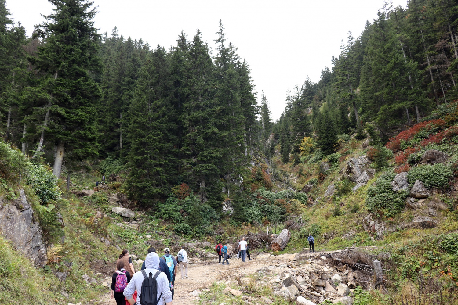 Gümüş şehir ‘Altın’ rengine büründü, dağcılar fırsatı kaçırmadı 39