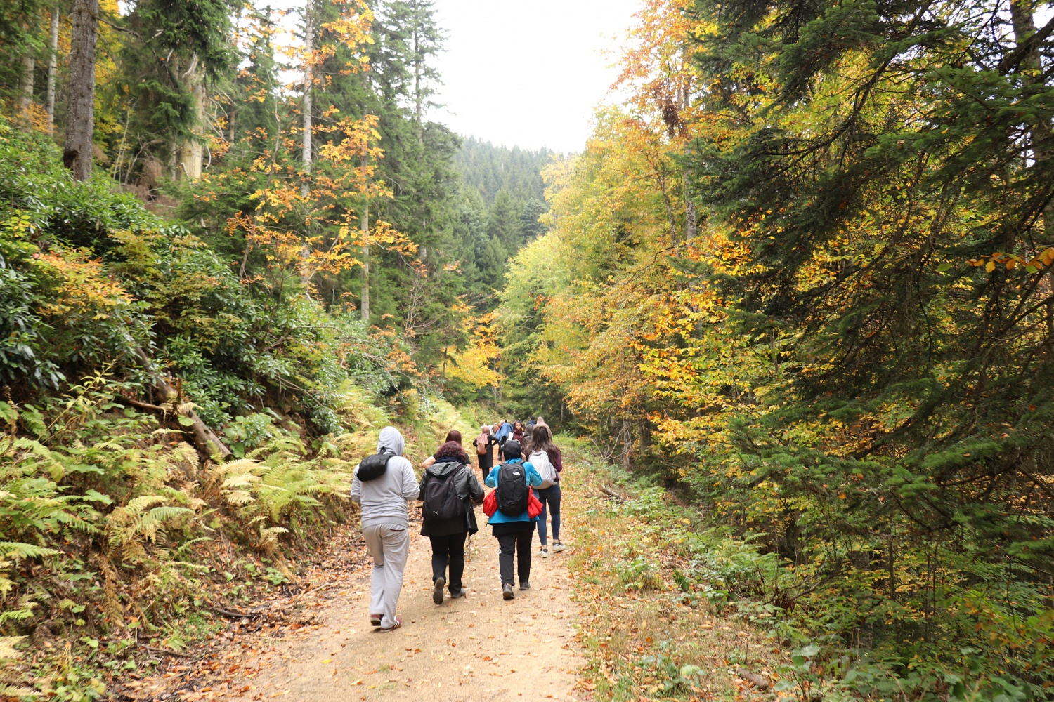 Gümüş şehir ‘Altın’ rengine büründü, dağcılar fırsatı kaçırmadı 32