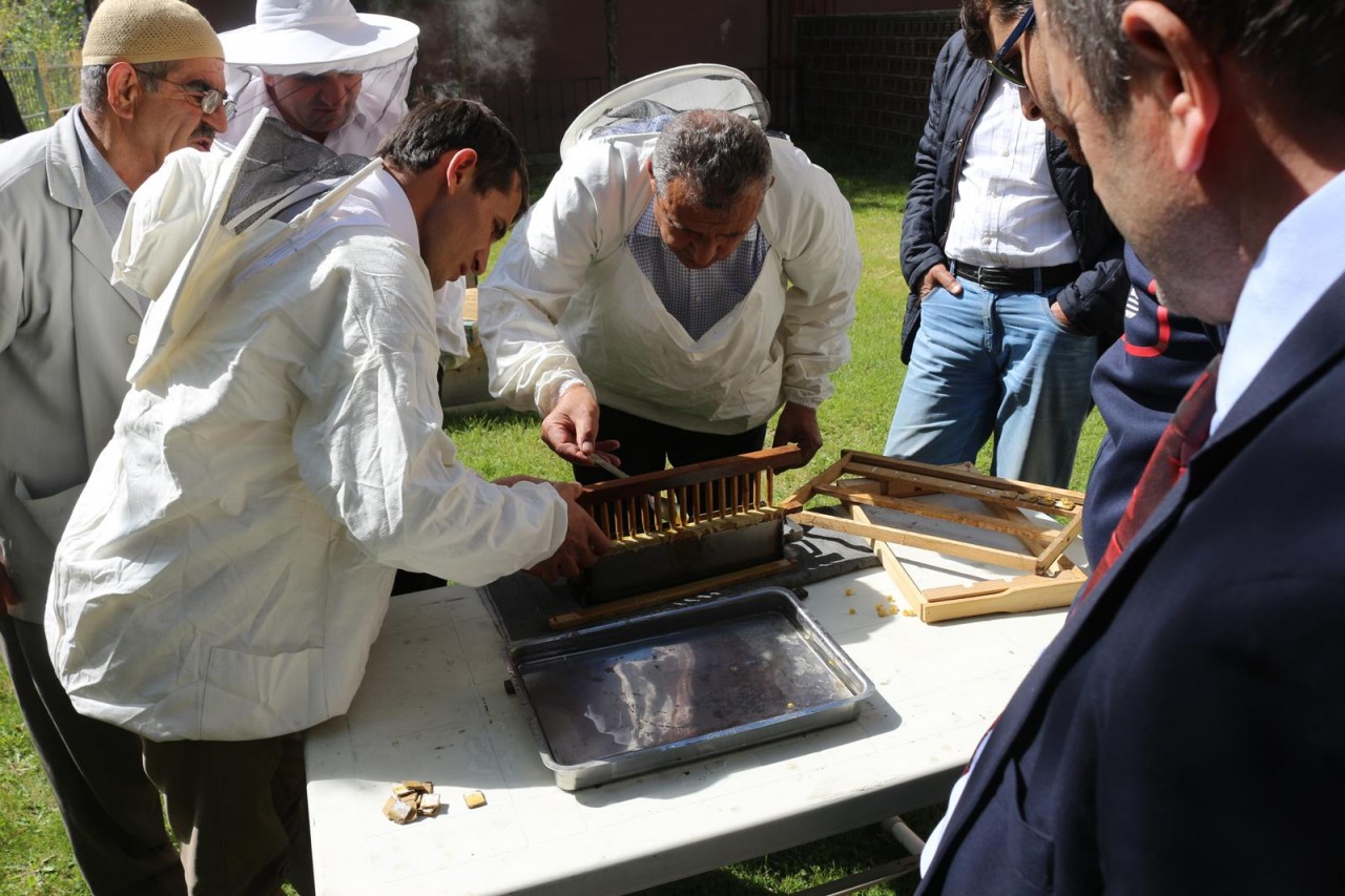 Gümüşhane’de Arı Sütü Üretimi Konulu Uygulamalı Eğitim Yapıldı 8