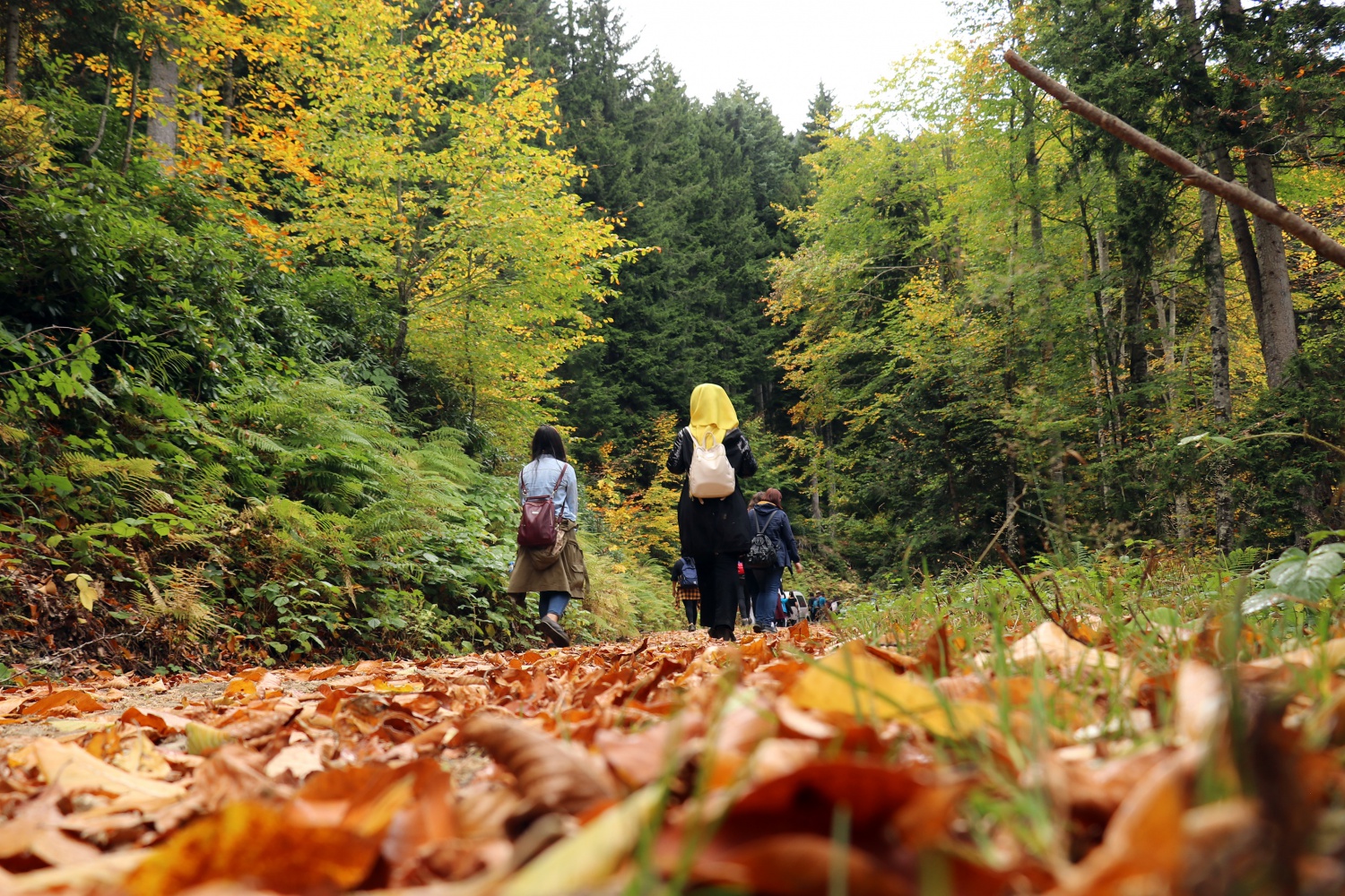 Gümüş şehir ‘Altın’ rengine büründü, dağcılar fırsatı kaçırmadı 27