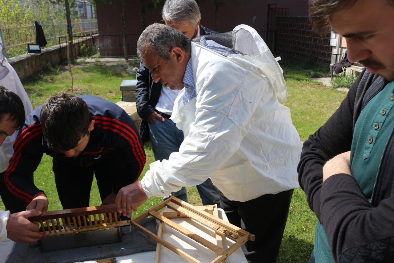 Gümüşhane’de Arı Sütü Üretimi Konulu Uygulamalı Eğitim Yapıldı 9