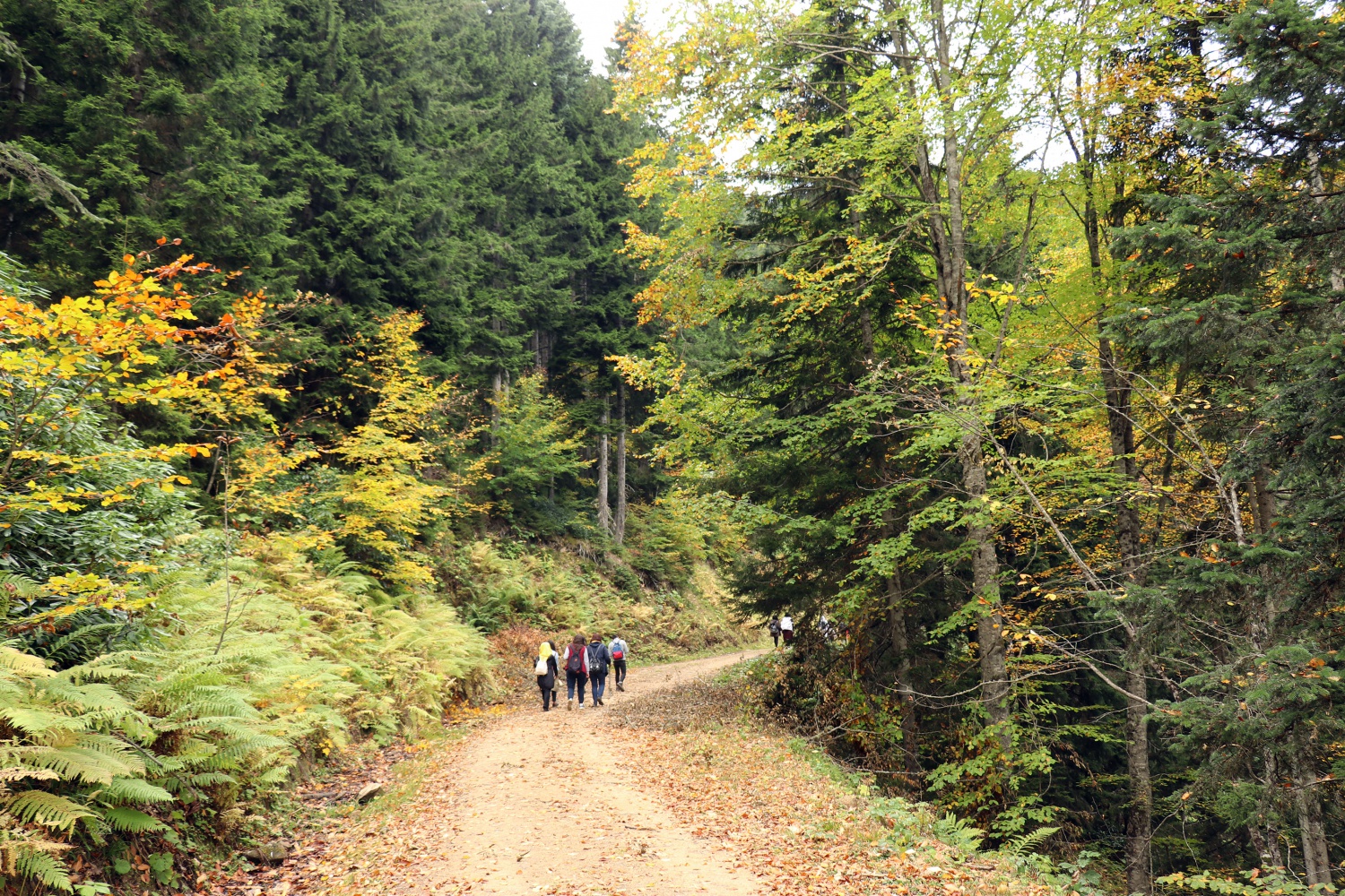 Gümüş şehir ‘Altın’ rengine büründü, dağcılar fırsatı kaçırmadı 6