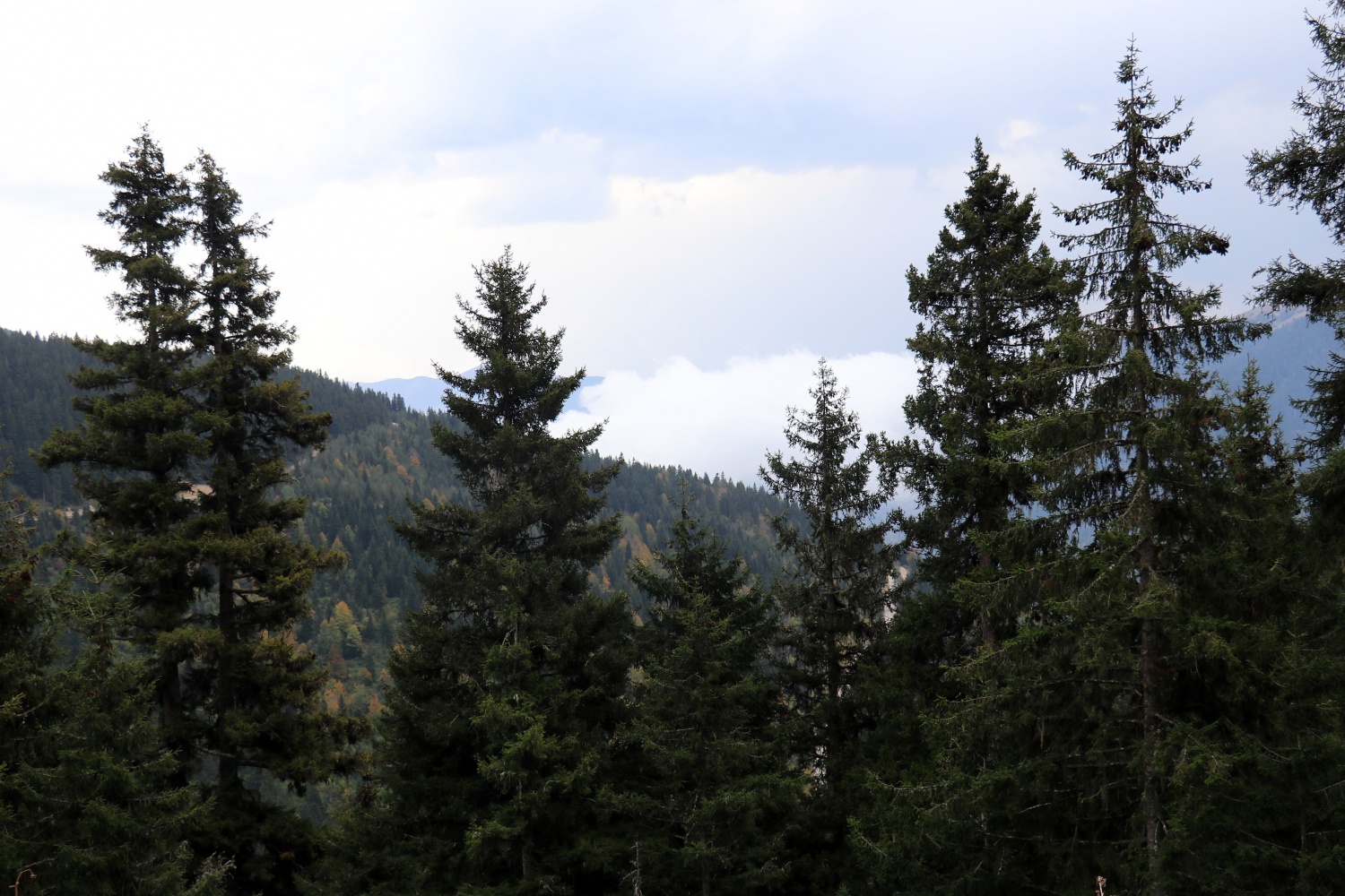 Gümüş şehir ‘Altın’ rengine büründü, dağcılar fırsatı kaçırmadı 1