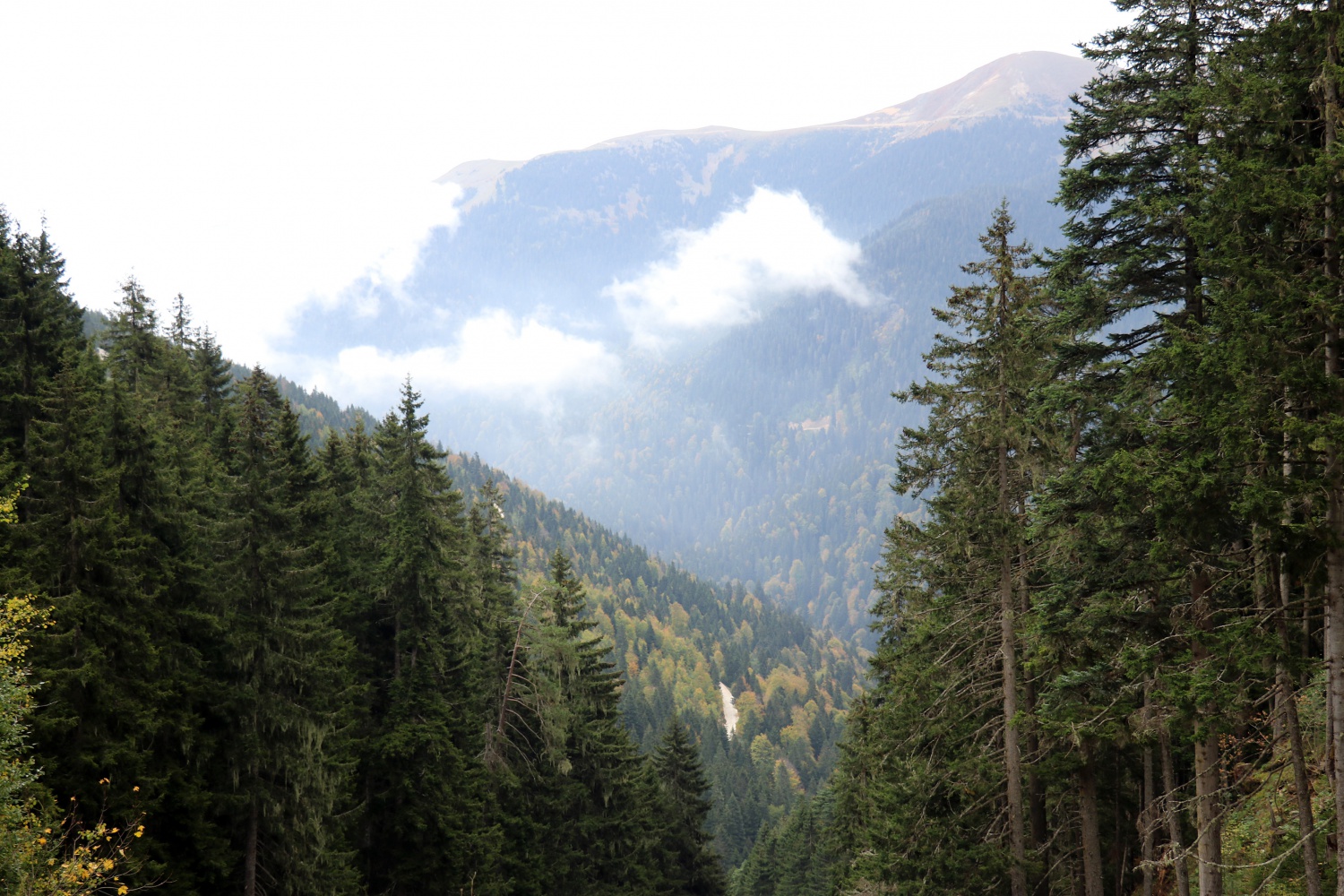 Gümüş şehir ‘Altın’ rengine büründü, dağcılar fırsatı kaçırmadı 14