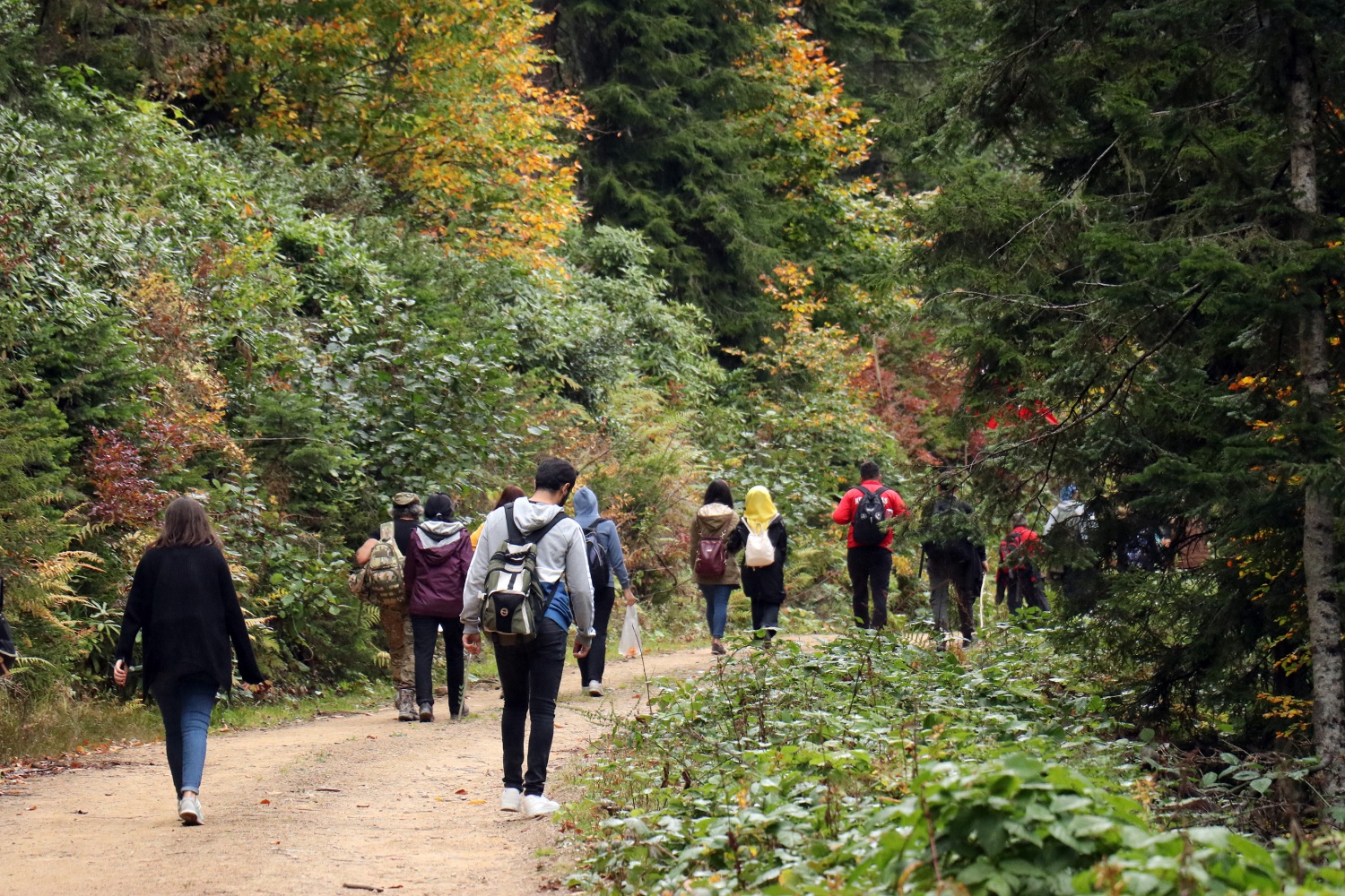 Gümüş şehir ‘Altın’ rengine büründü, dağcılar fırsatı kaçırmadı 28