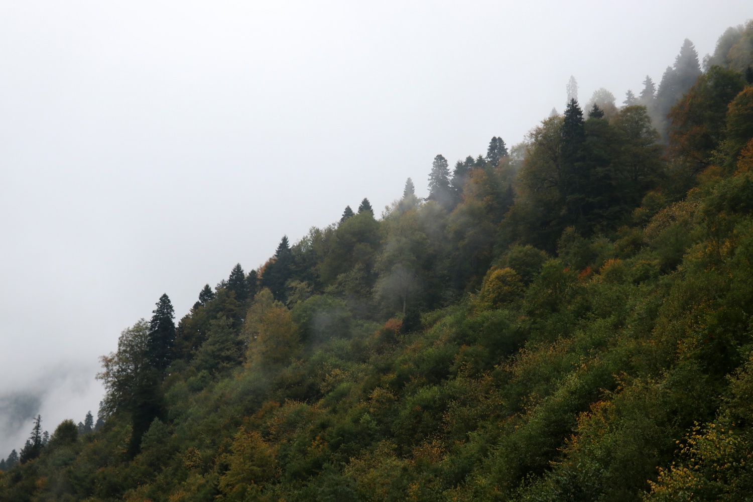 Gümüş şehir ‘Altın’ rengine büründü, dağcılar fırsatı kaçırmadı 15